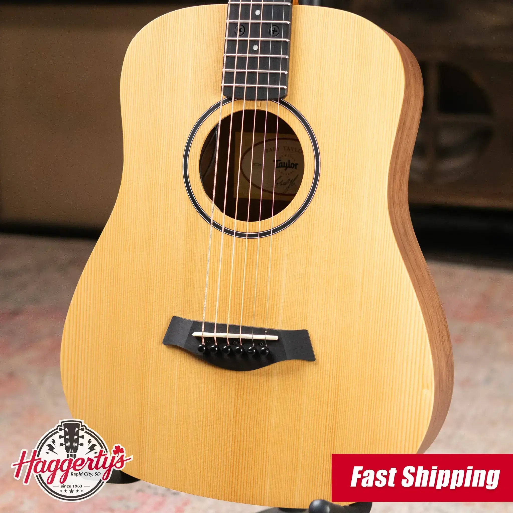 Taylor BT1e Baby Taylor Acoustic/Electric Guitar with Gig Bag