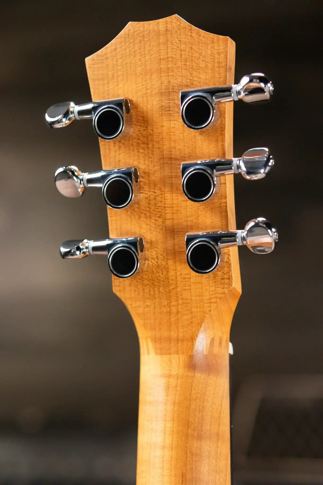 Taylor BT1e Baby Taylor Acoustic/Electric Guitar with Gig Bag