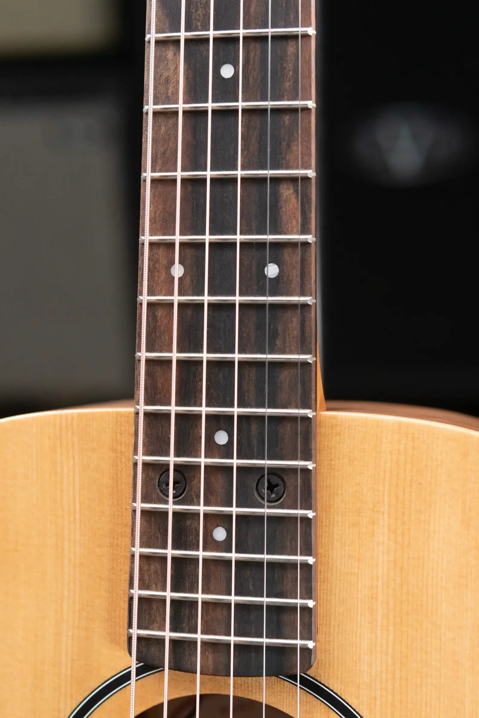 Taylor BT1e Baby Taylor Acoustic-Electric Guitar with Gig Bag