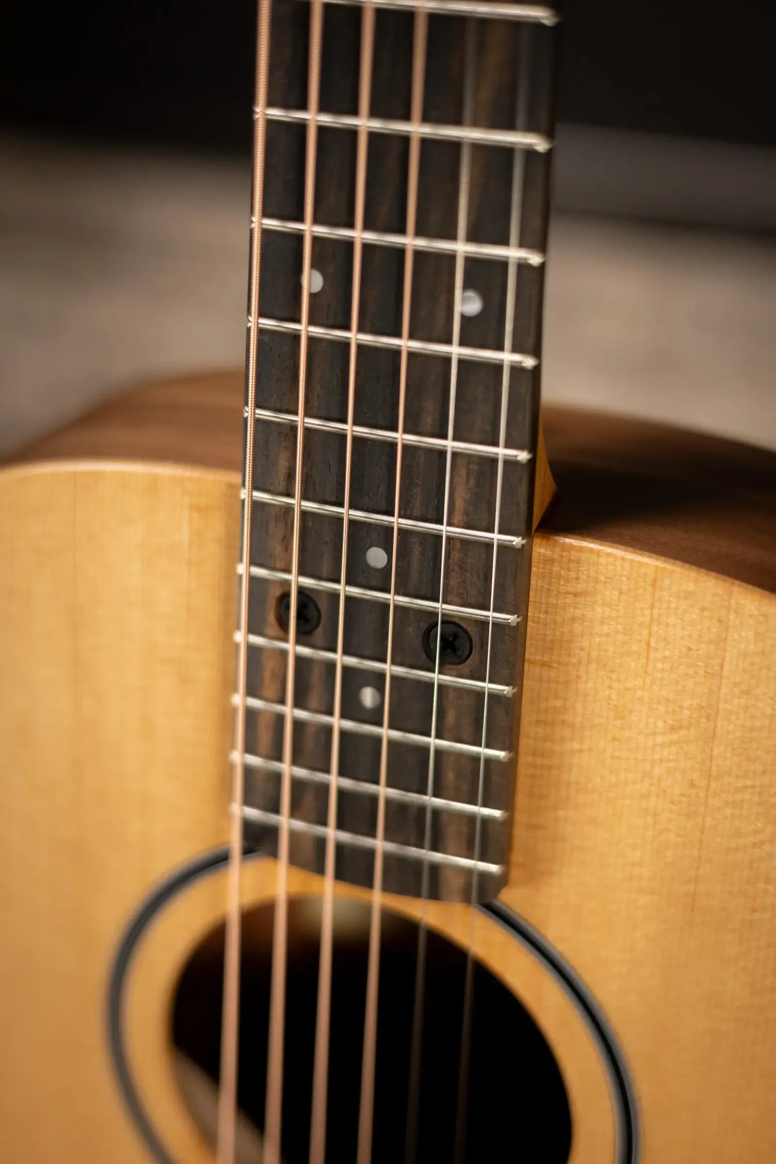 Taylor BT1e Baby Taylor Acoustic/Electric Guitar with Gig Bag