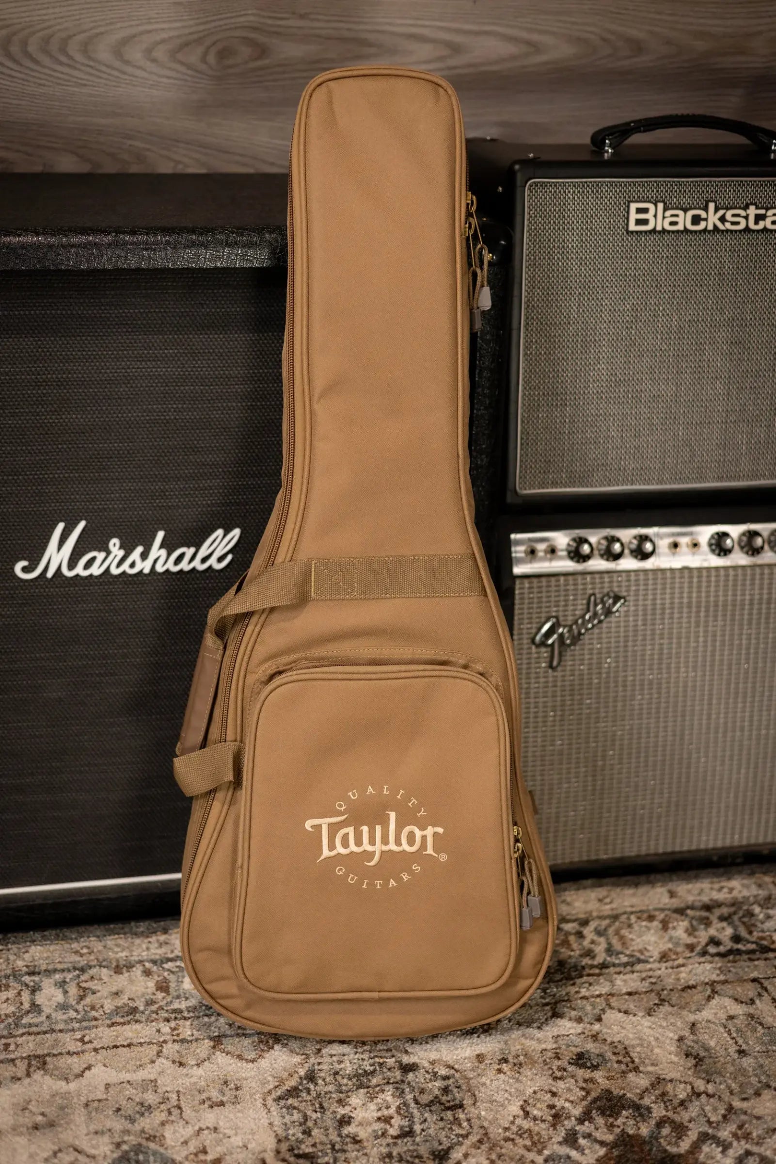 Taylor BT1e Baby Taylor Acoustic/Electric Guitar with Gig Bag