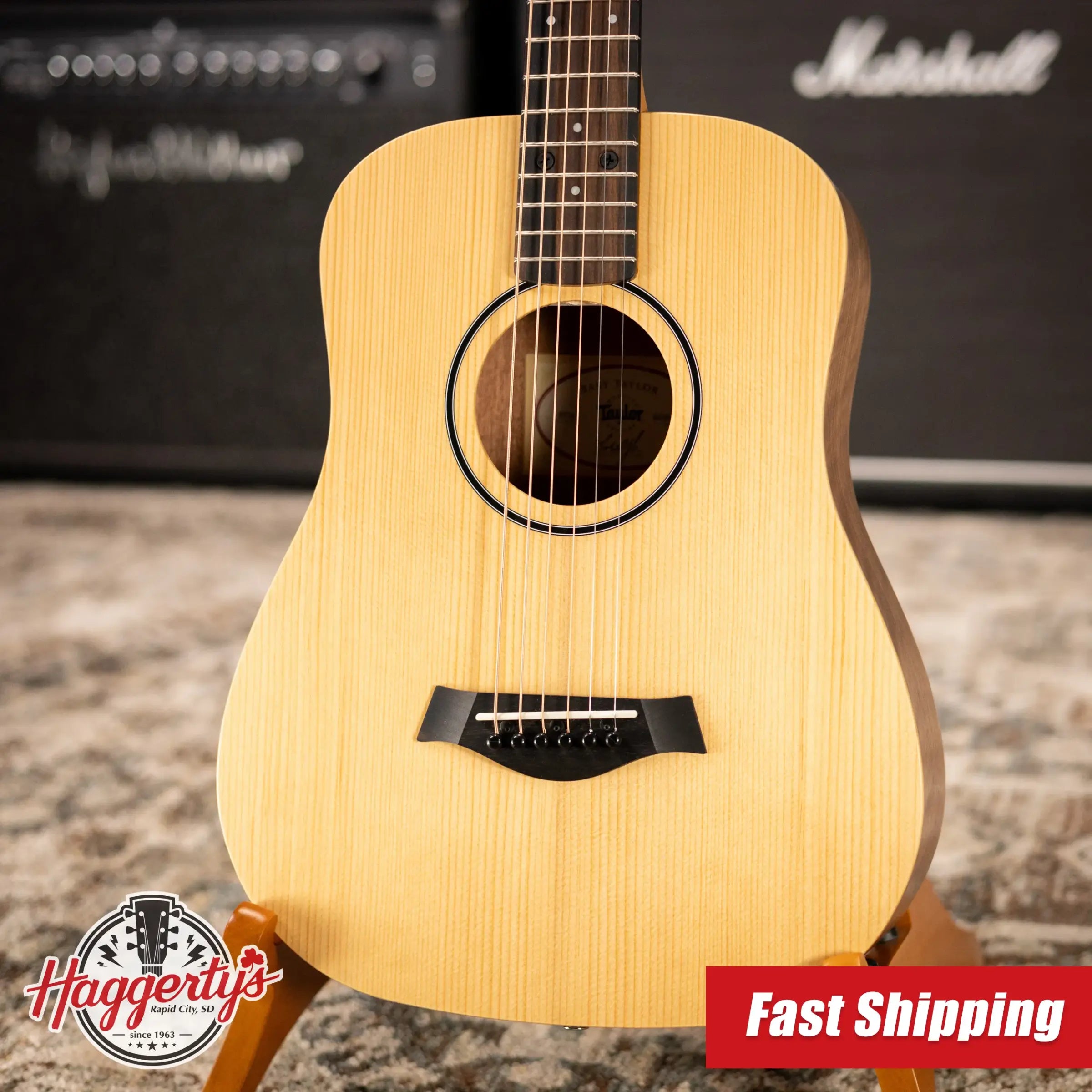 Taylor BT1e Baby Taylor Acoustic/Electric Guitar with Gig Bag