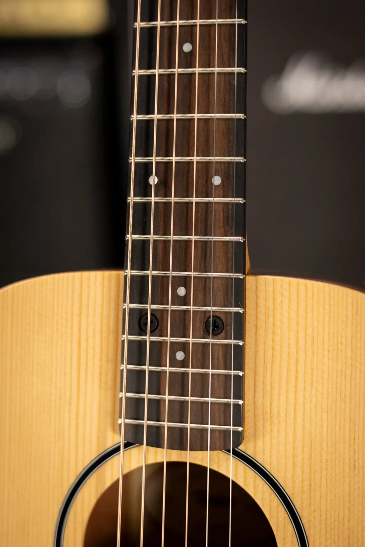 Taylor BT1e Baby Taylor Acoustic/Electric Guitar with Gig Bag
