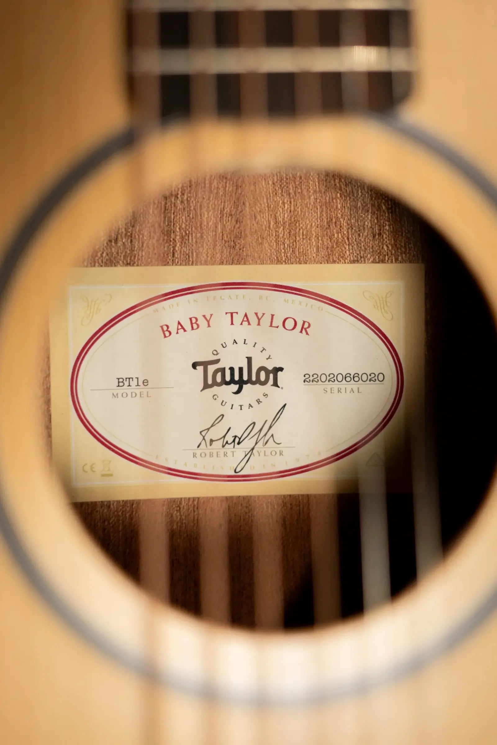 Taylor BT1e Baby Taylor Acoustic/Electric Guitar with Gig Bag