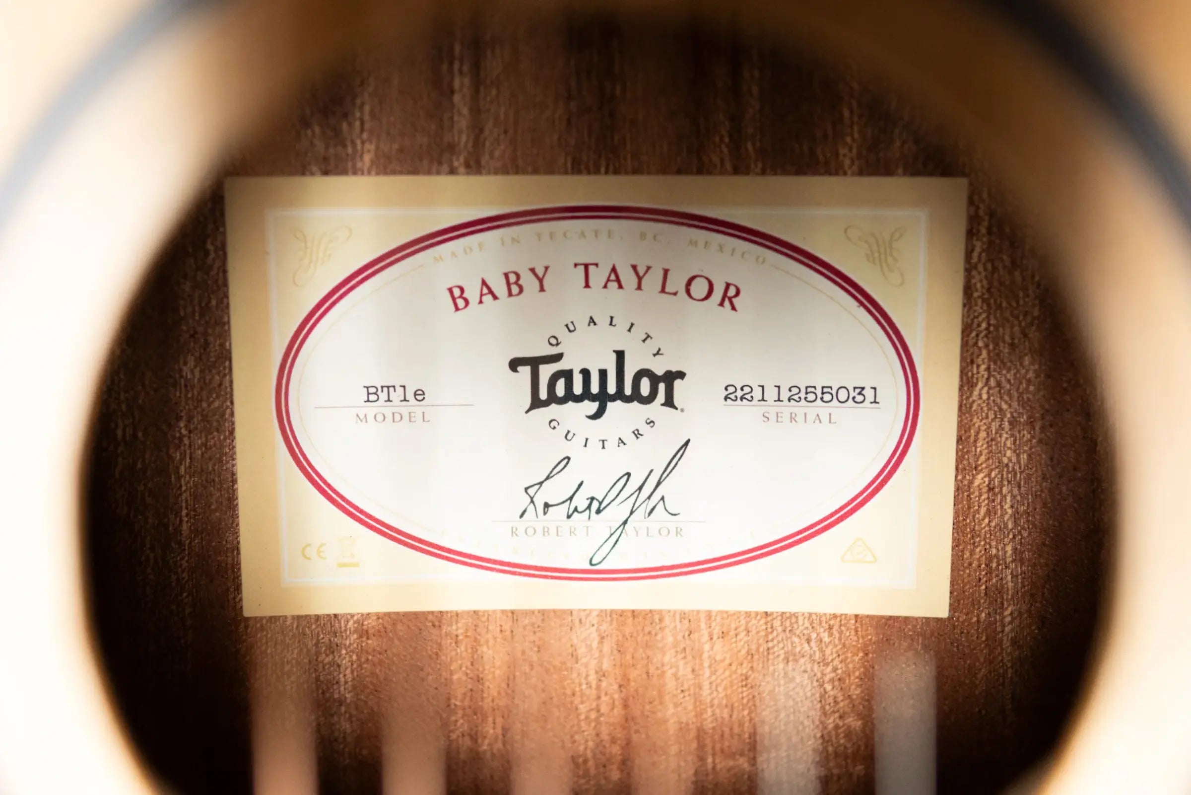 Taylor BT1e Baby Taylor Acoustic/Electric Guitar with Gig Bag