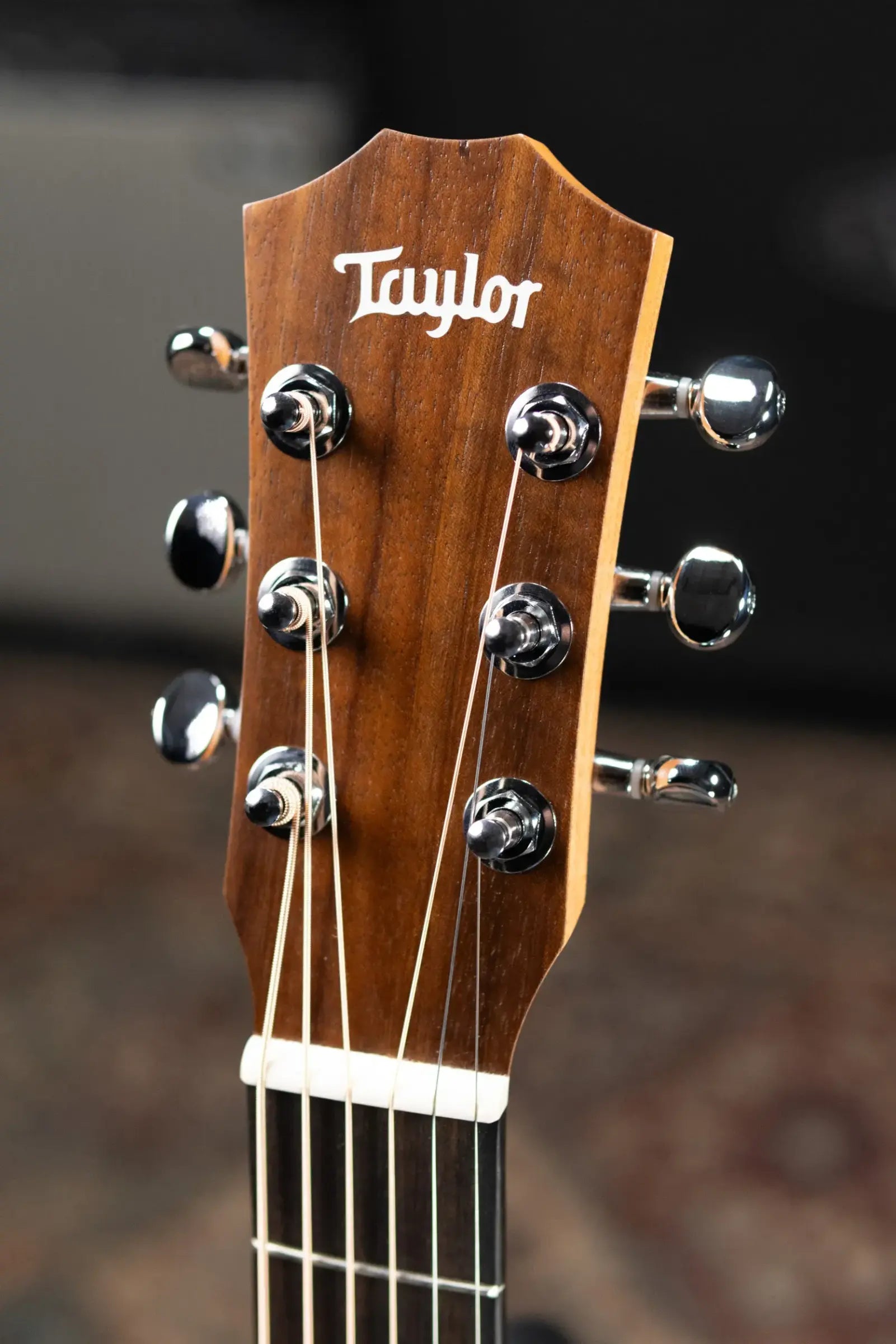 Taylor BT1e Baby Taylor Acoustic/Electric Guitar with Gig Bag