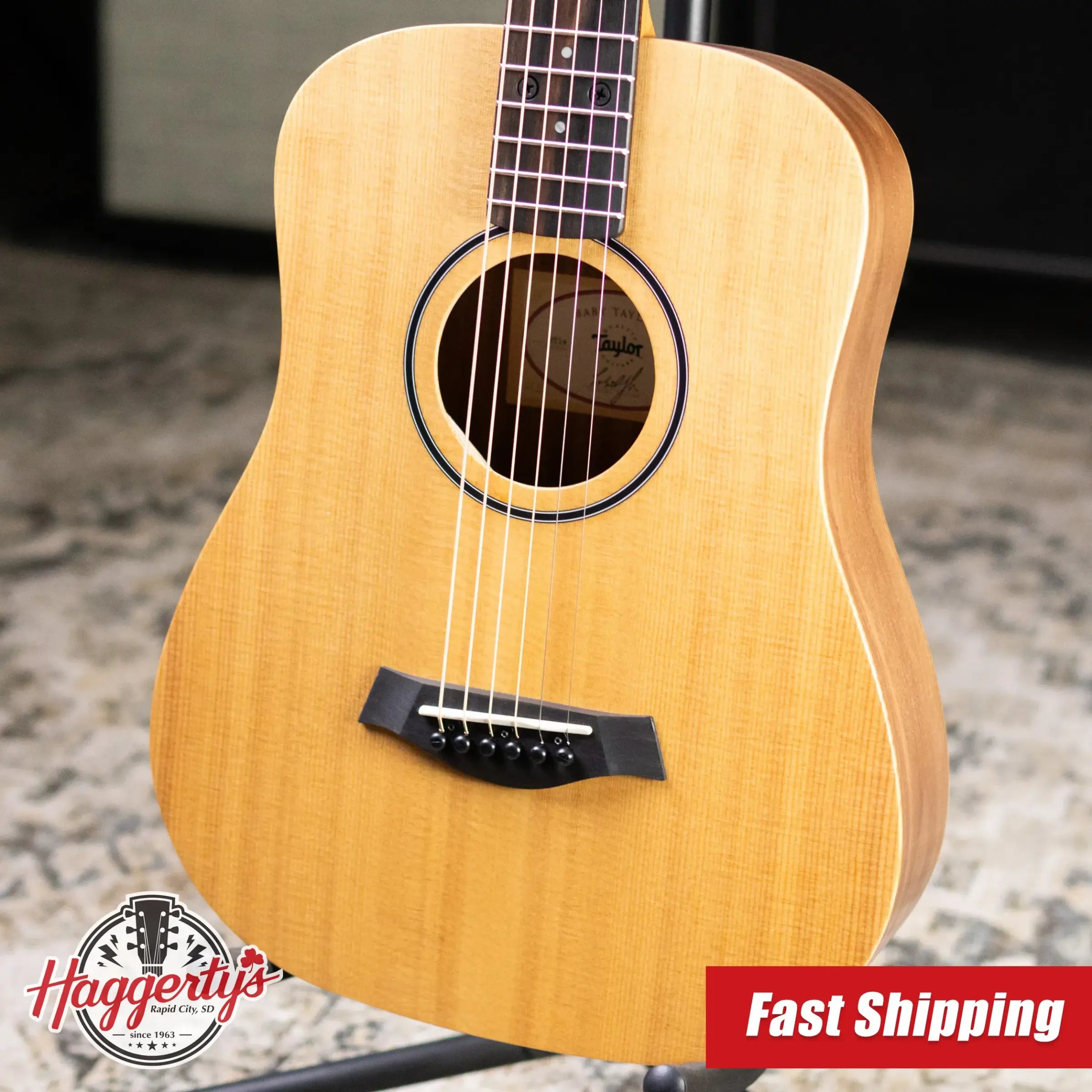 Taylor BT1e Baby Taylor Acoustic/Electric Guitar with Gig Bag