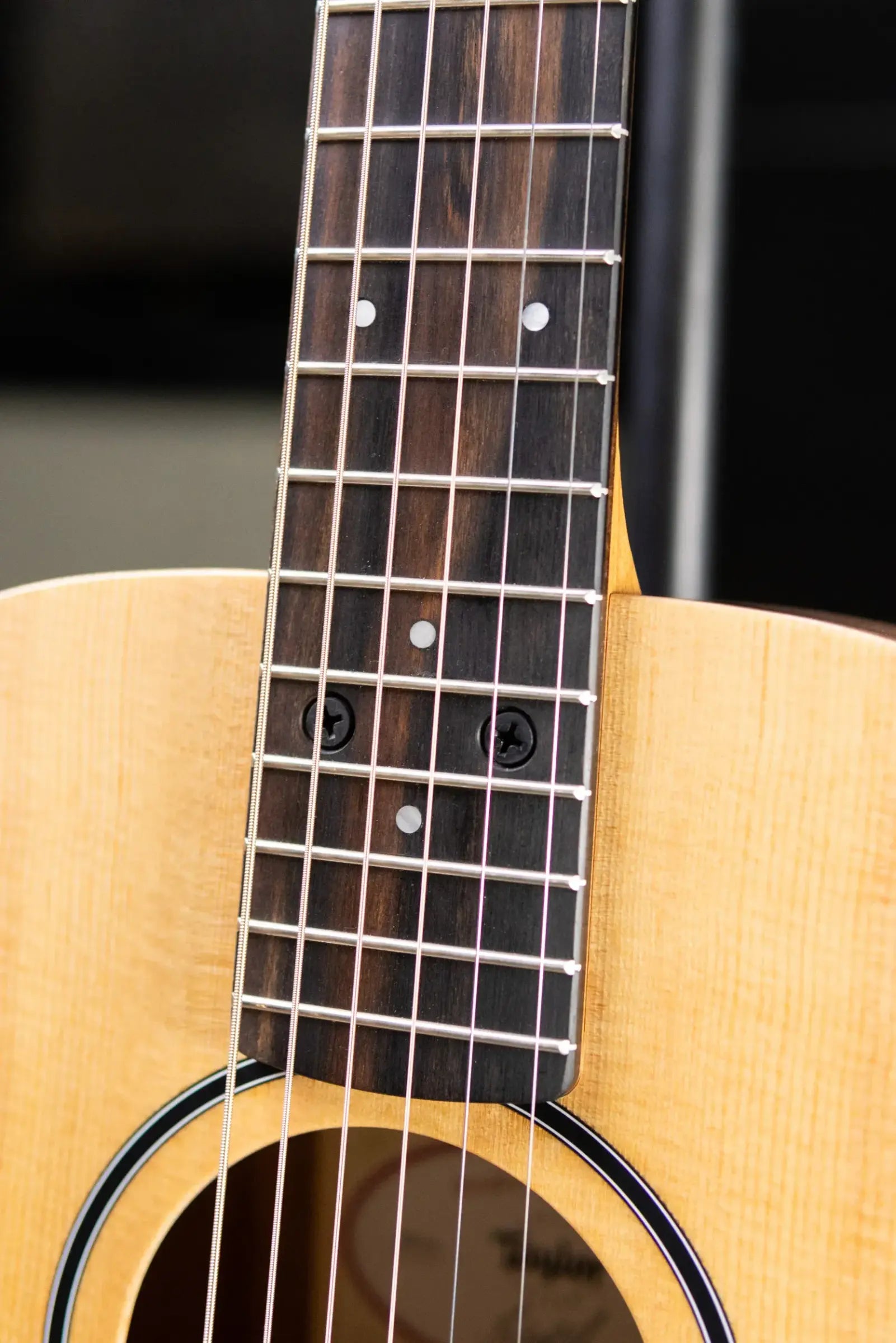 Taylor BT1e Baby Taylor Acoustic/Electric Guitar with Gig Bag