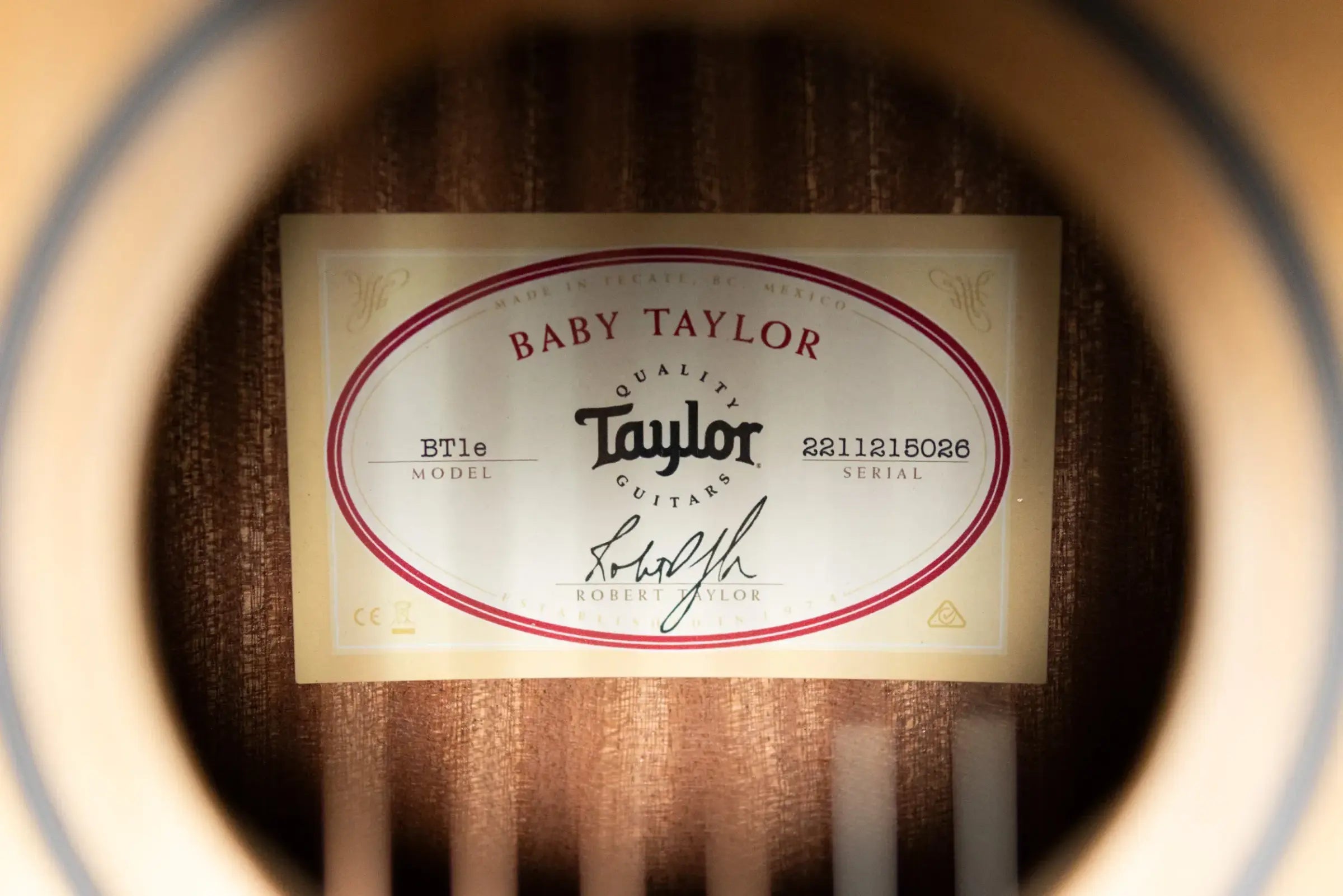 Taylor BT1e Baby Taylor Acoustic/Electric Guitar with Gig Bag