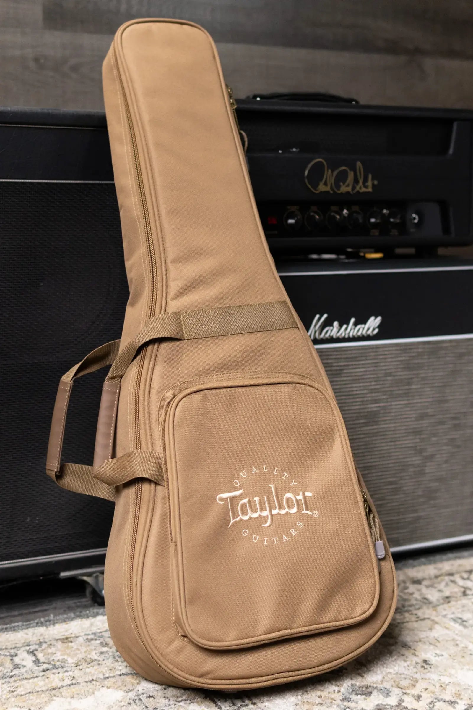 Taylor BT1e Baby Taylor Acoustic/Electric Guitar with Gig Bag