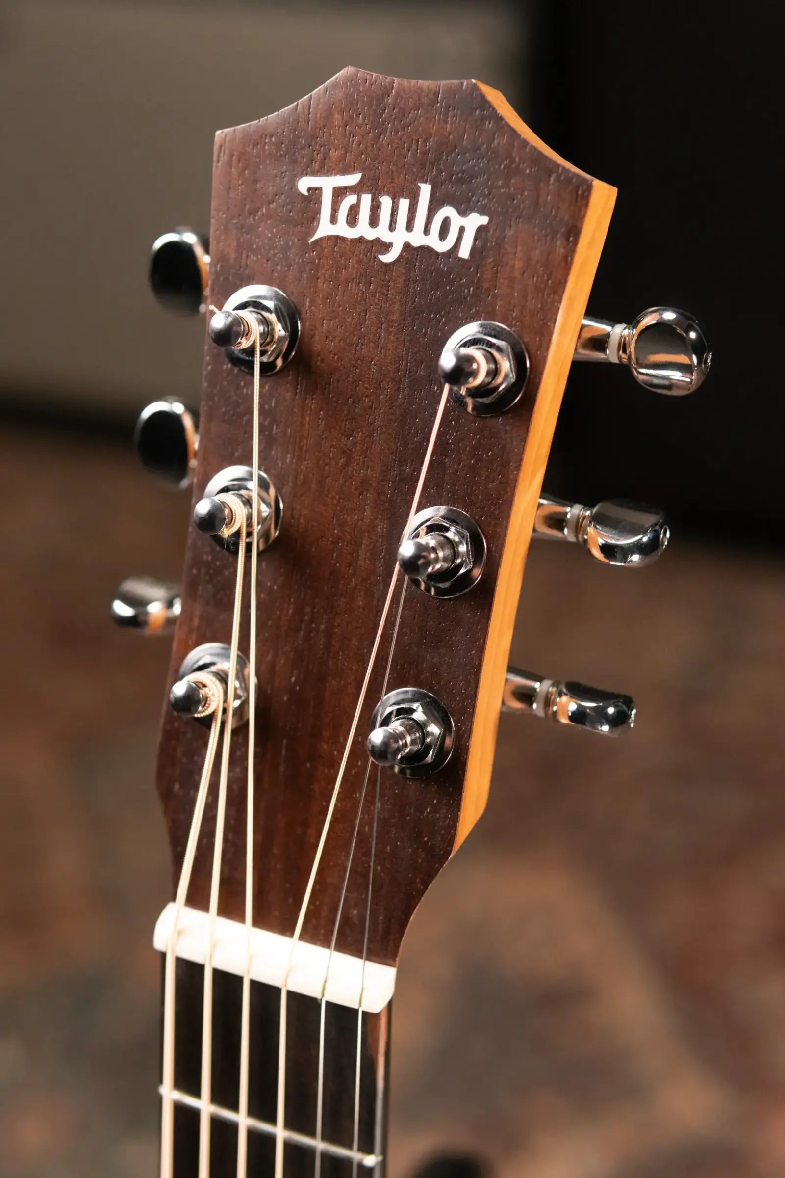 Taylor BT2 Baby Mahogany Taylor Acoustic Guitar with Gig Bag