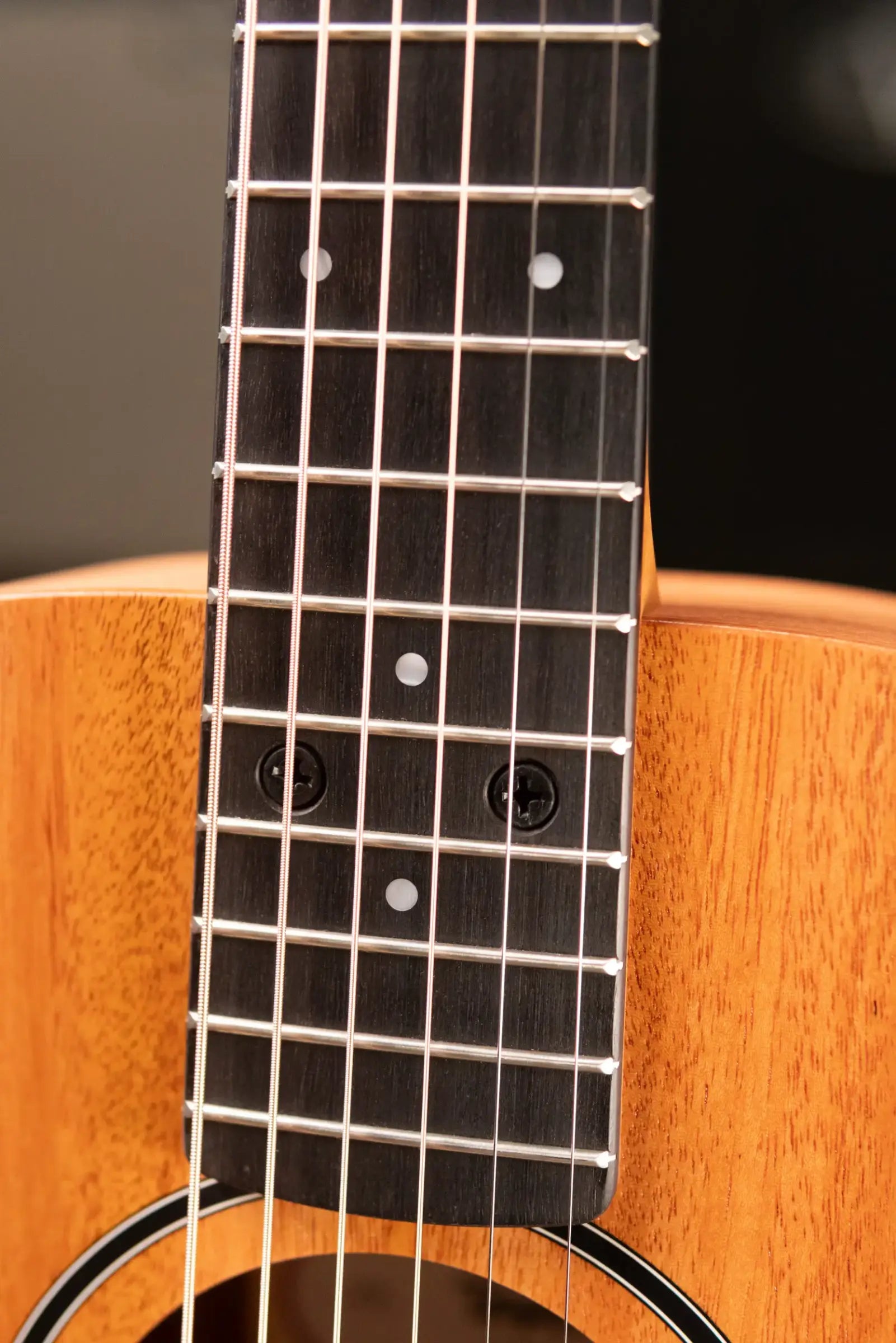 Taylor BT2 Baby Mahogany Taylor Acoustic Guitar with Gig Bag
