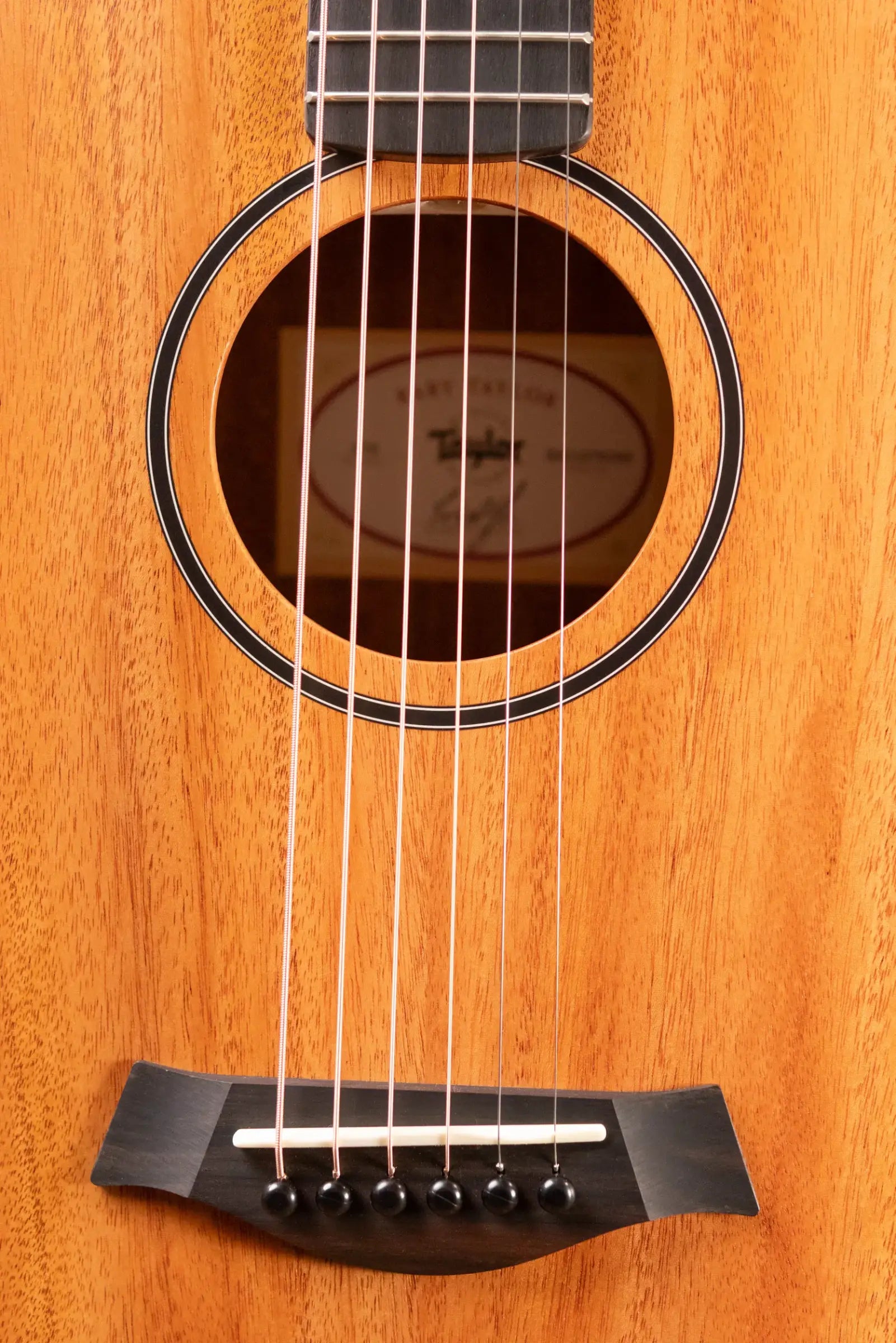 Taylor BT2 Baby Mahogany Taylor Acoustic Guitar with Gig Bag