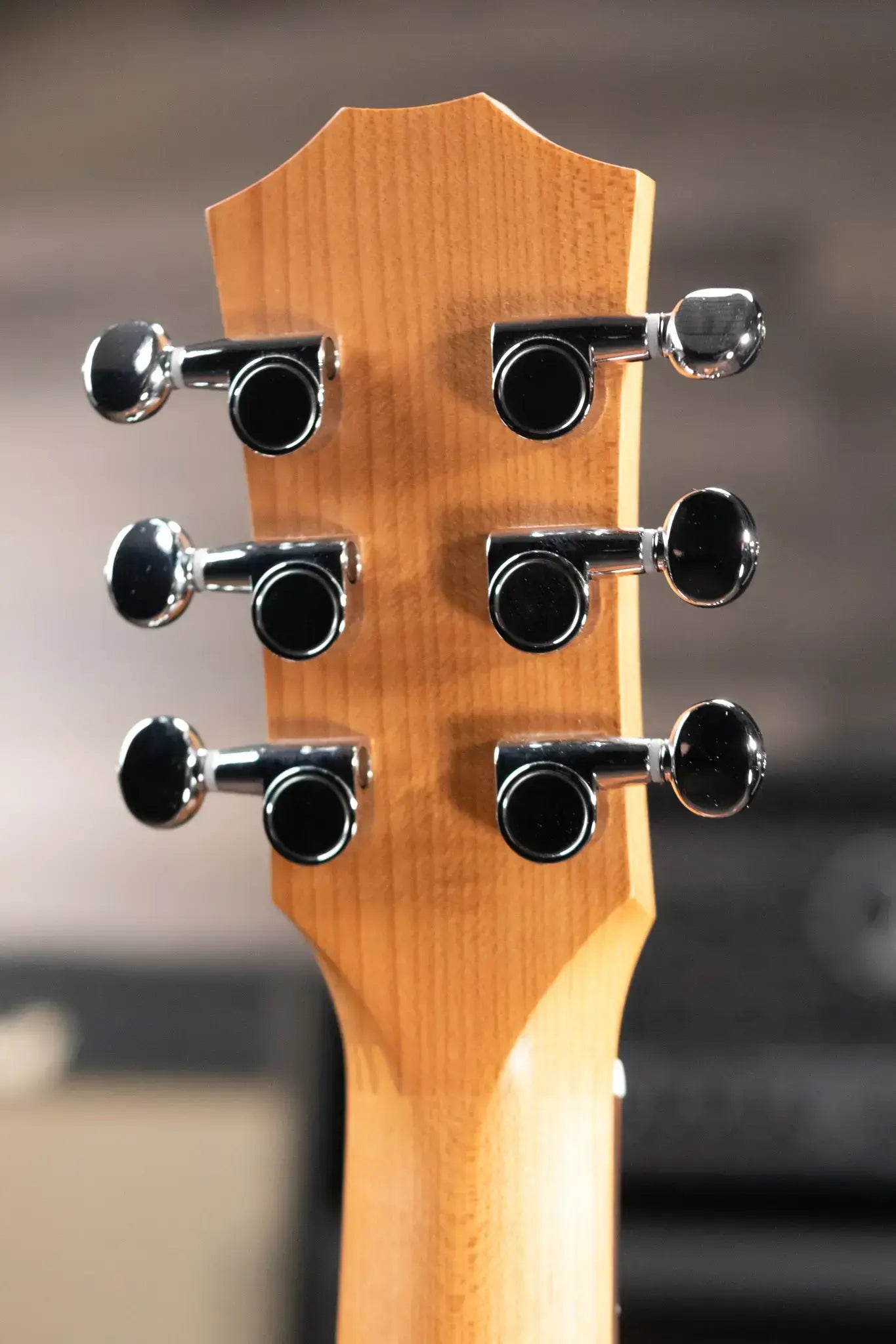 Taylor BT2 Baby Taylor Acoustic Guitar with Gig Bag