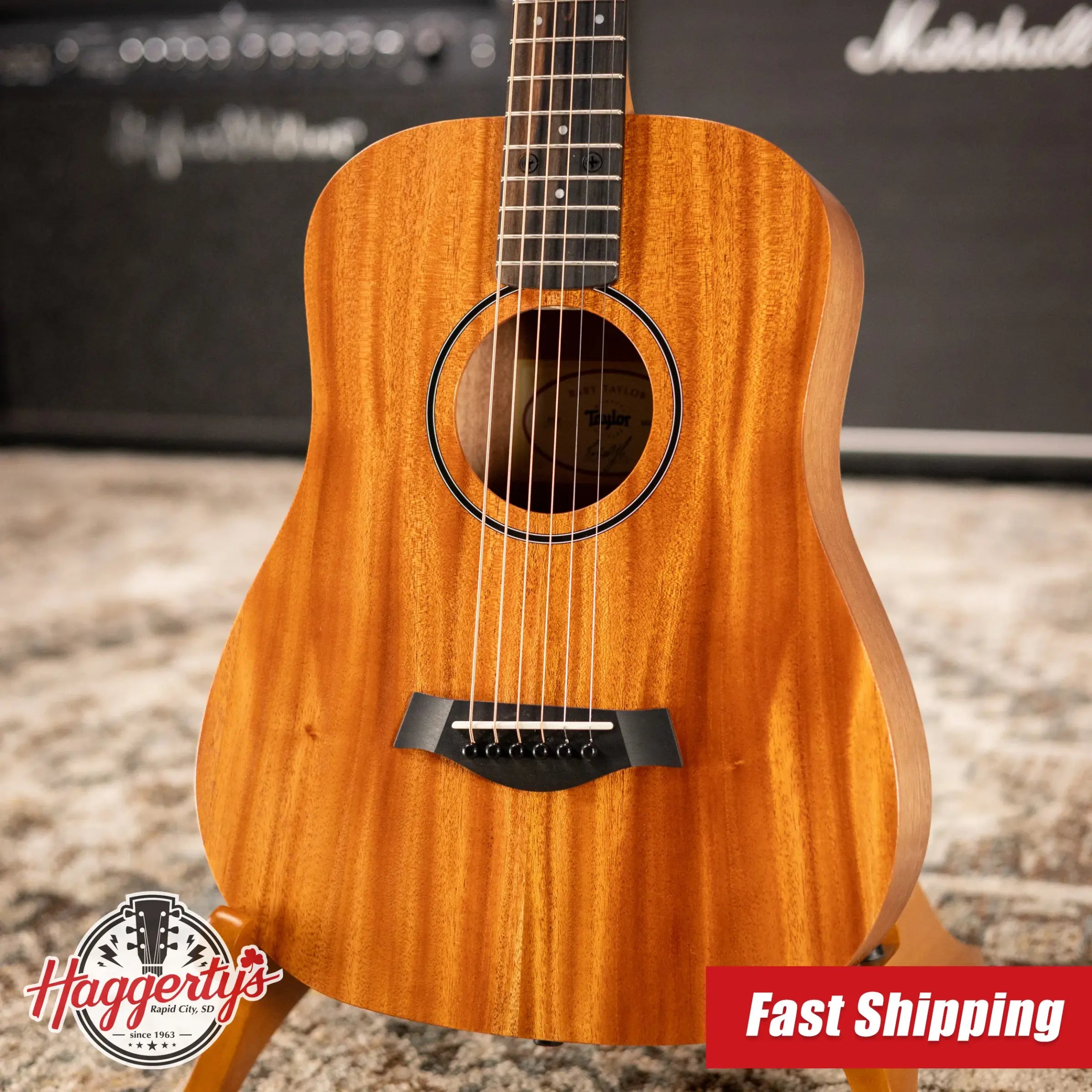 Taylor BT2 Baby Taylor Acoustic Guitar with Gig Bag
