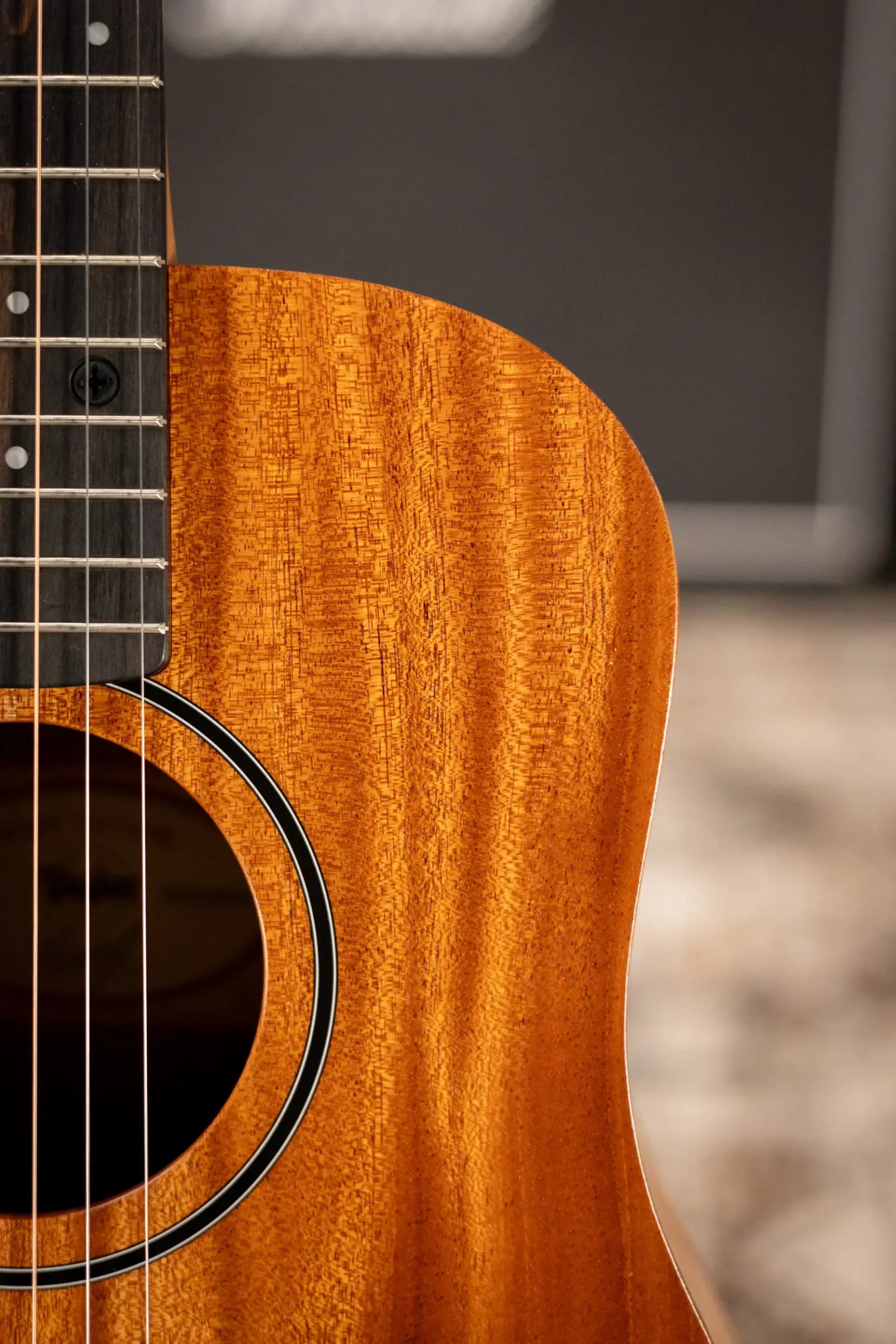 Taylor BT2 Baby Taylor Acoustic Guitar with Gig Bag