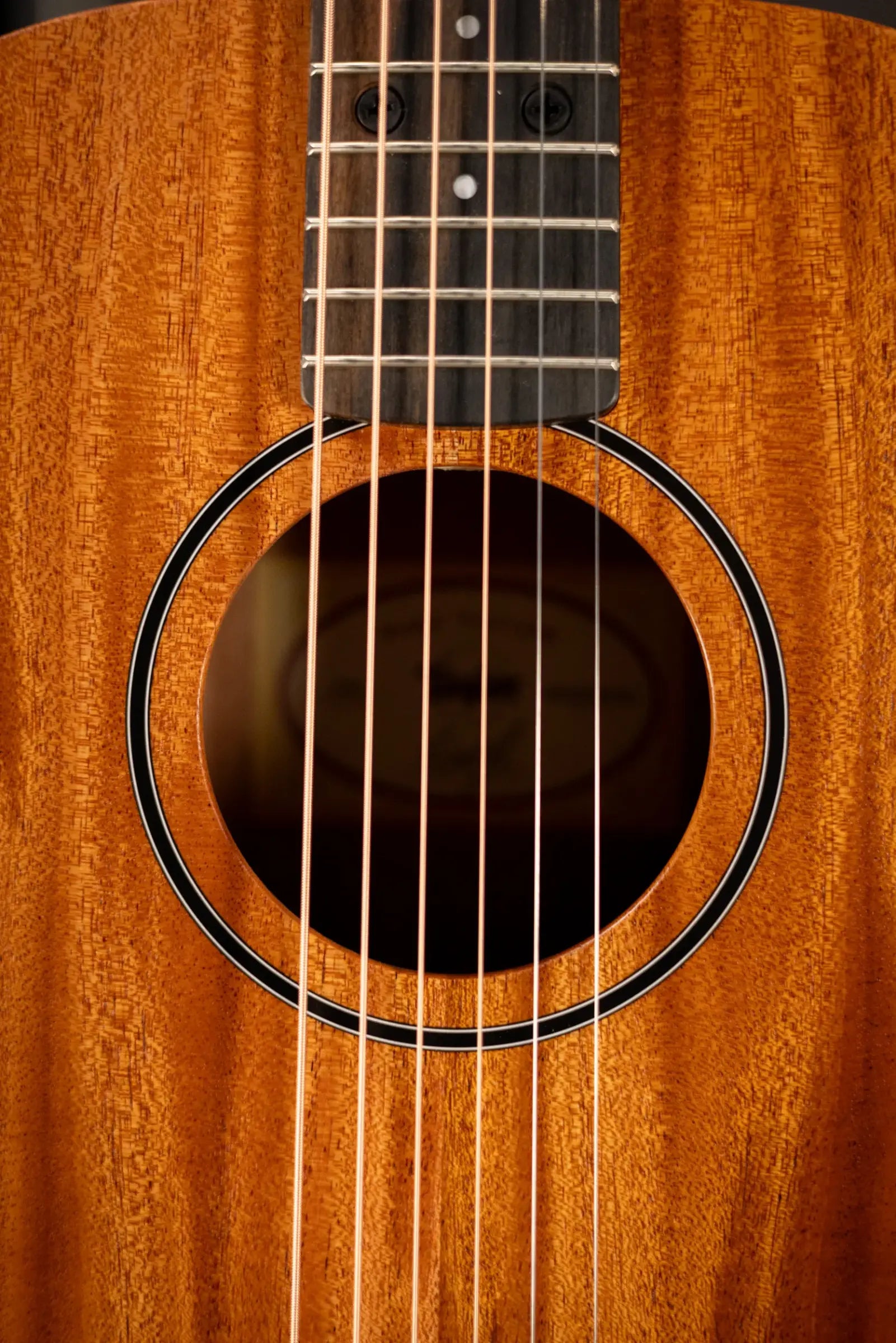 Taylor BT2 Baby Taylor Acoustic Guitar with Gig Bag
