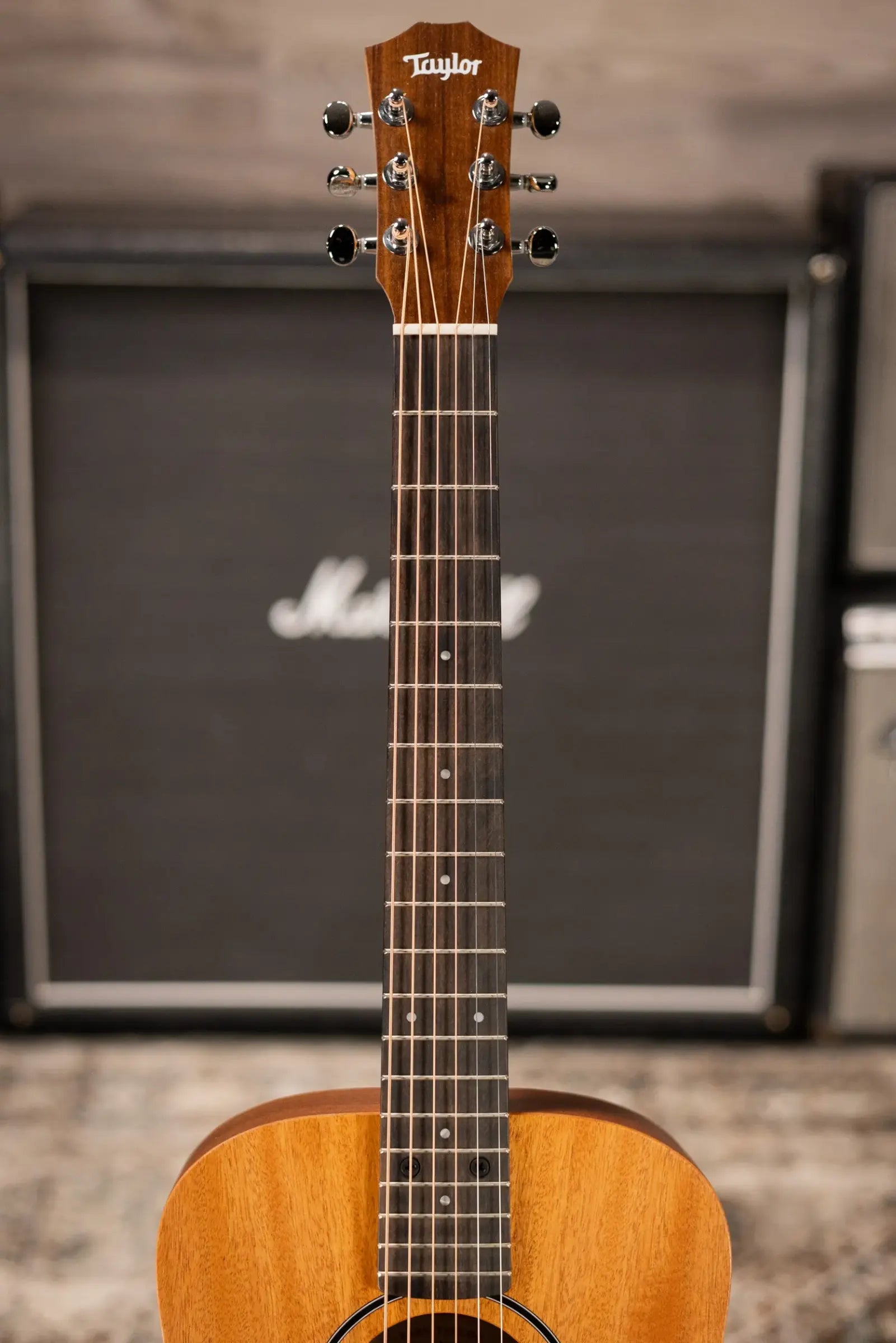 Taylor BT2 Baby Taylor Acoustic Guitar with Gig Bag