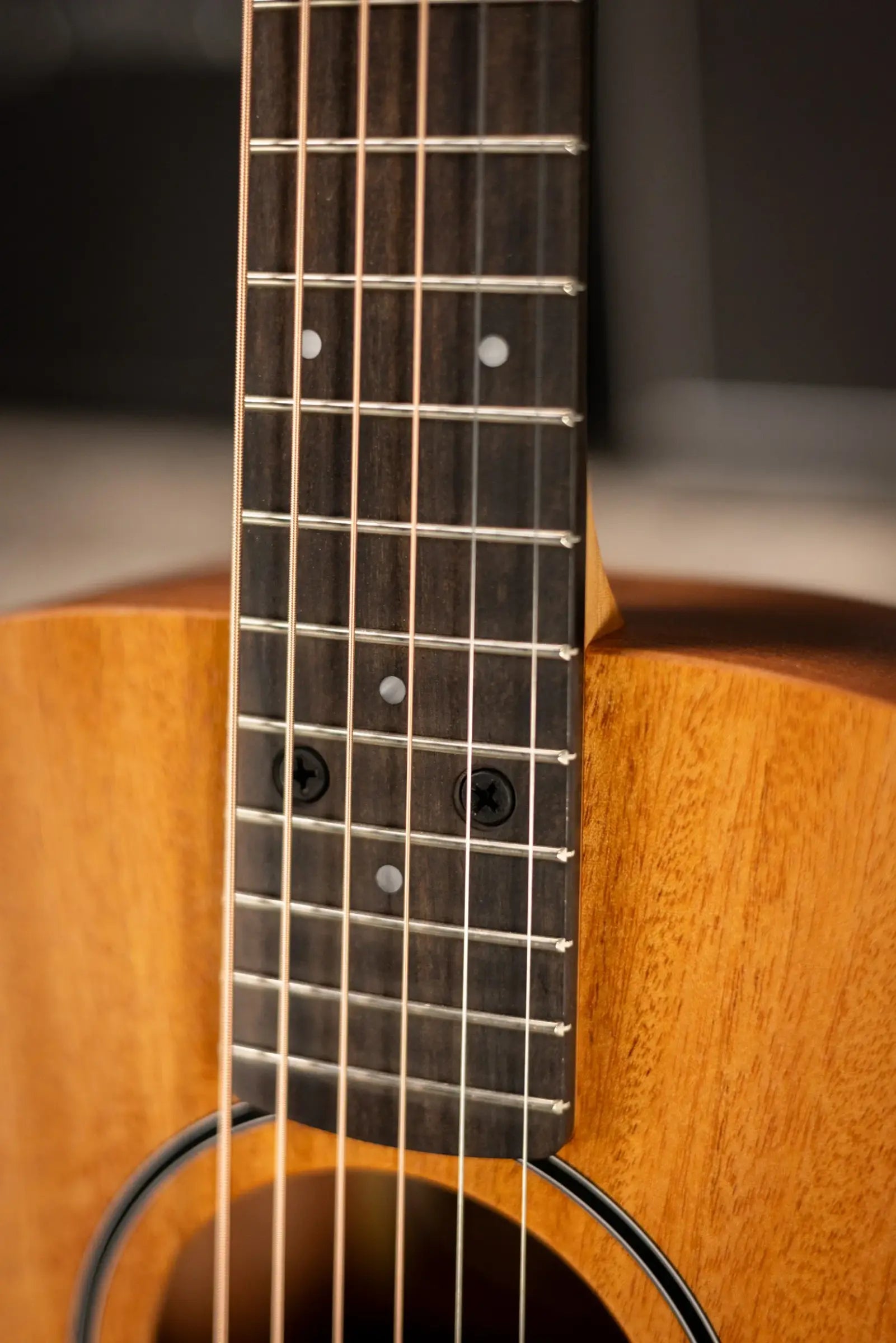 Taylor BT2 Baby Taylor Acoustic Guitar with Gig Bag