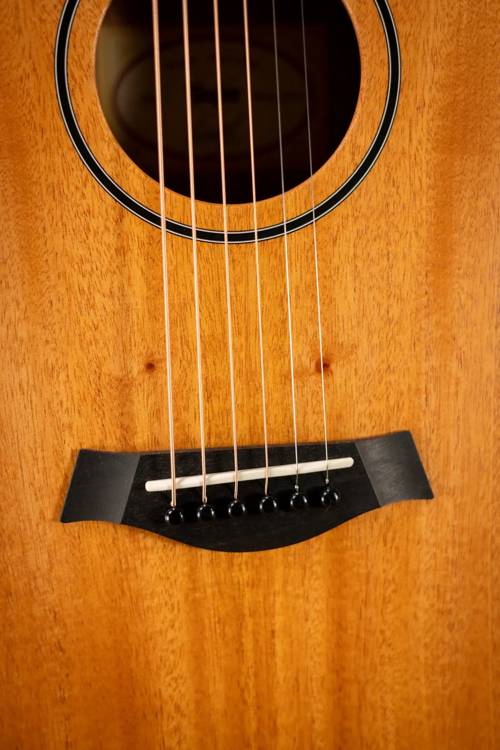 Taylor BT2 Baby Taylor Acoustic Guitar with Gig Bag