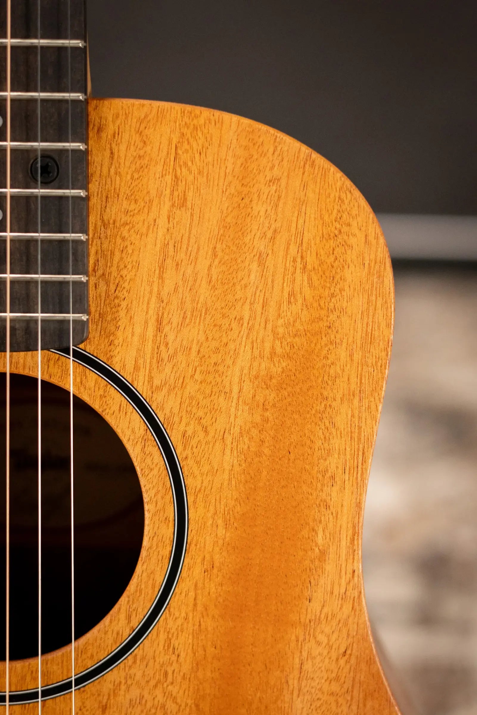 Taylor BT2 Baby Taylor Acoustic Guitar with Gig Bag