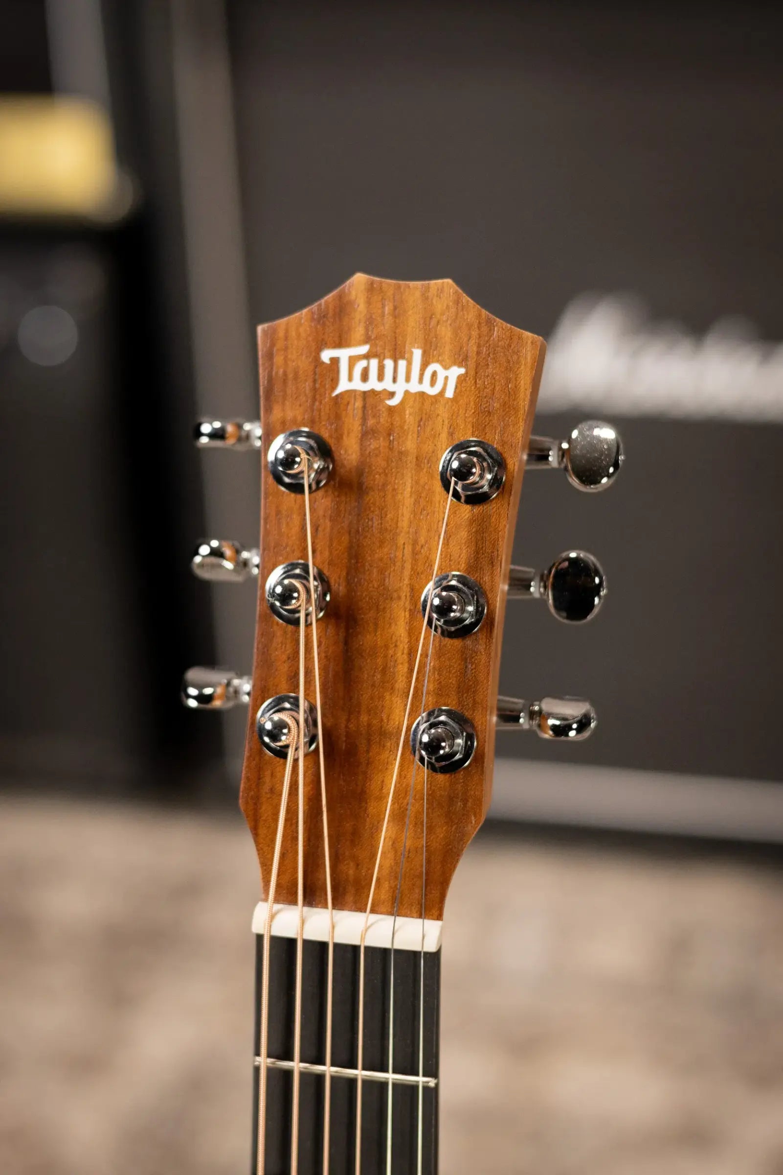 Taylor BT2 Baby Taylor Acoustic Guitar with Gig Bag