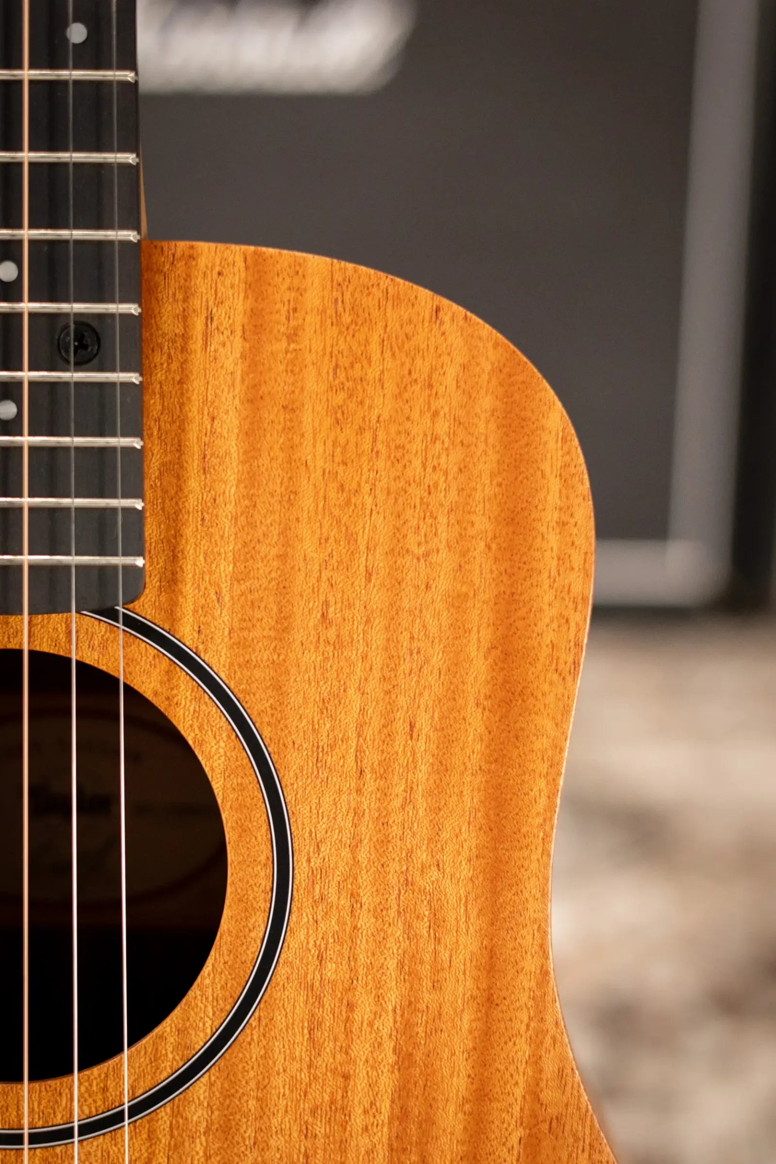 Taylor BT2 Baby Taylor Acoustic Guitar with Gig Bag