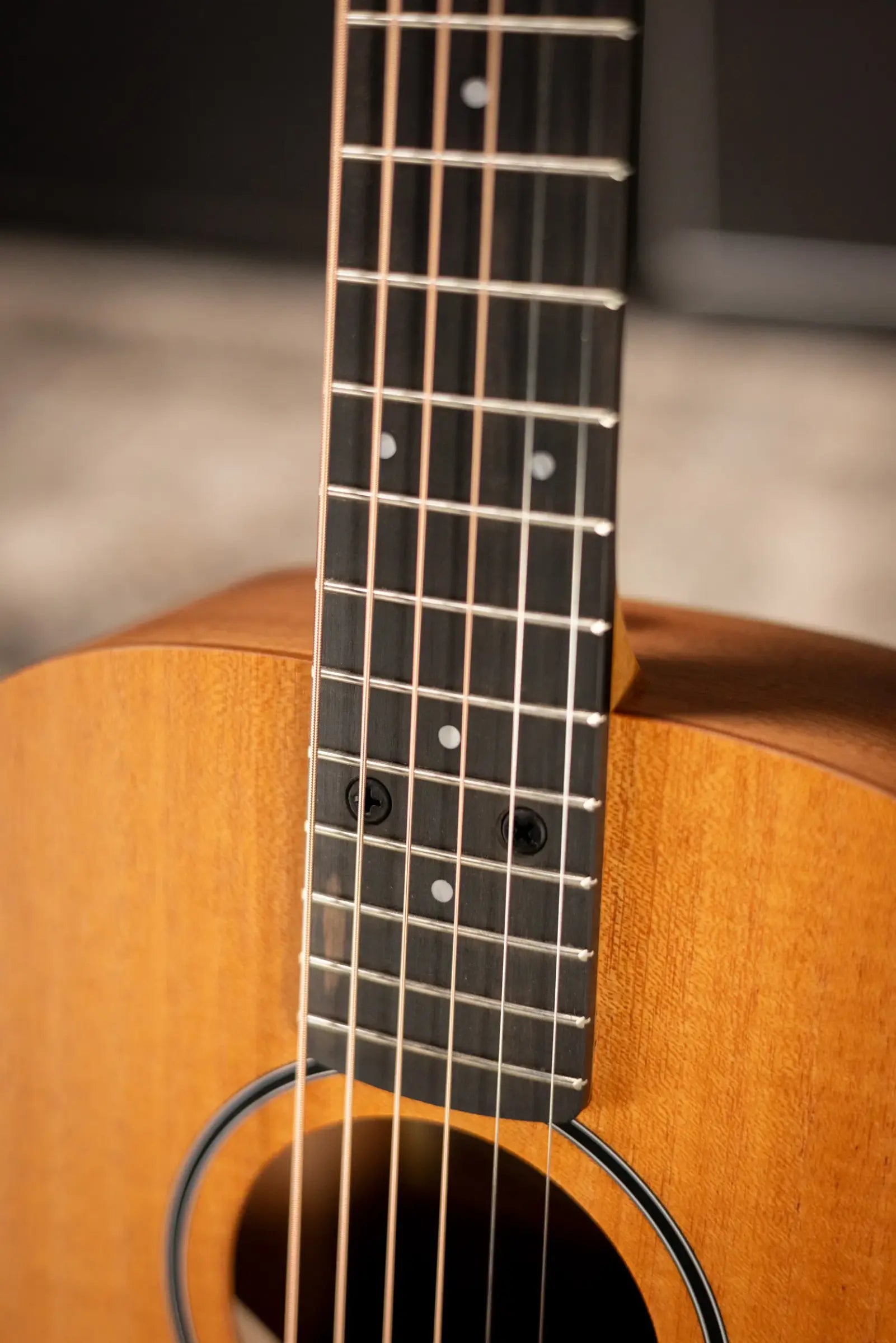 Taylor BT2 Baby Taylor Acoustic Guitar with Gig Bag