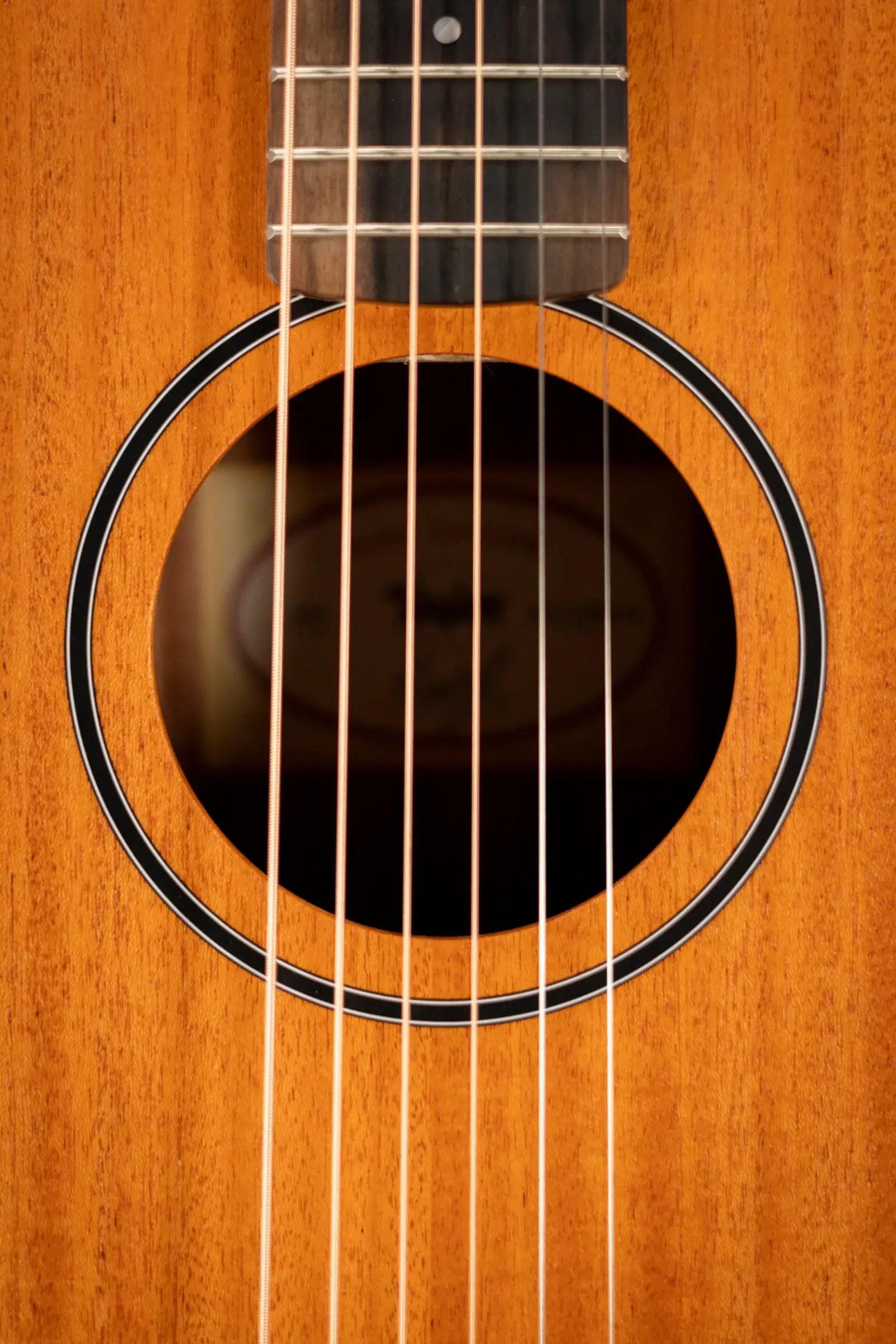 Taylor BT2 Baby Taylor Acoustic Guitar with Gig Bag
