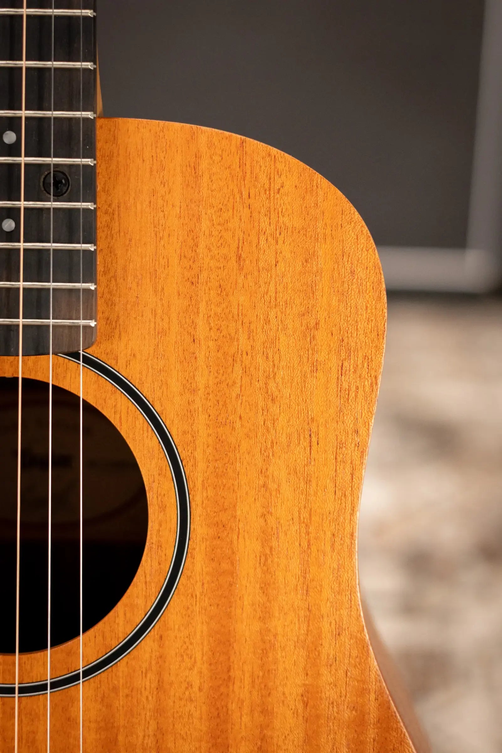 Taylor BT2 Baby Taylor Acoustic Guitar with Gig Bag