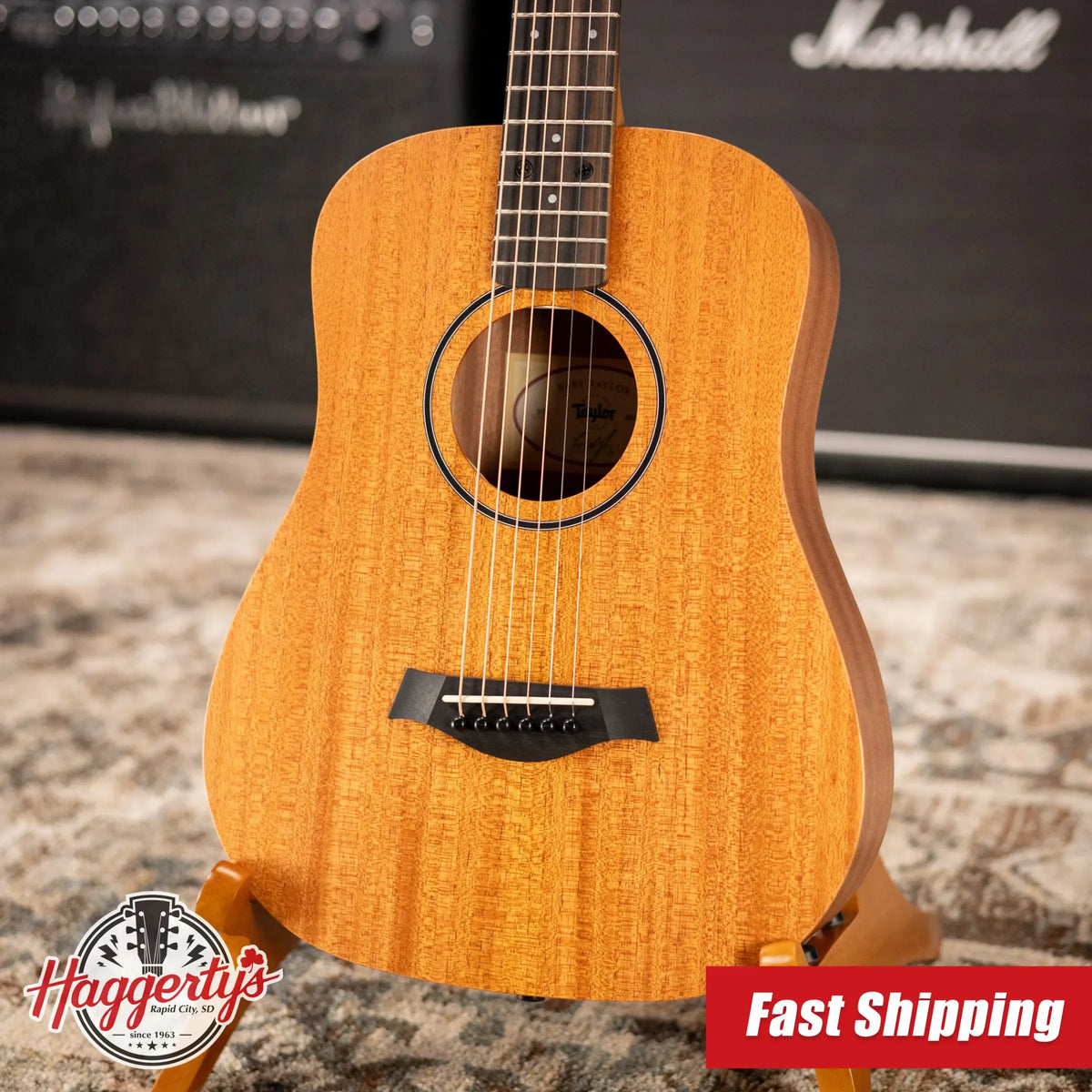 Taylor BT2 Baby Taylor Acoustic Guitar with Gig Bag