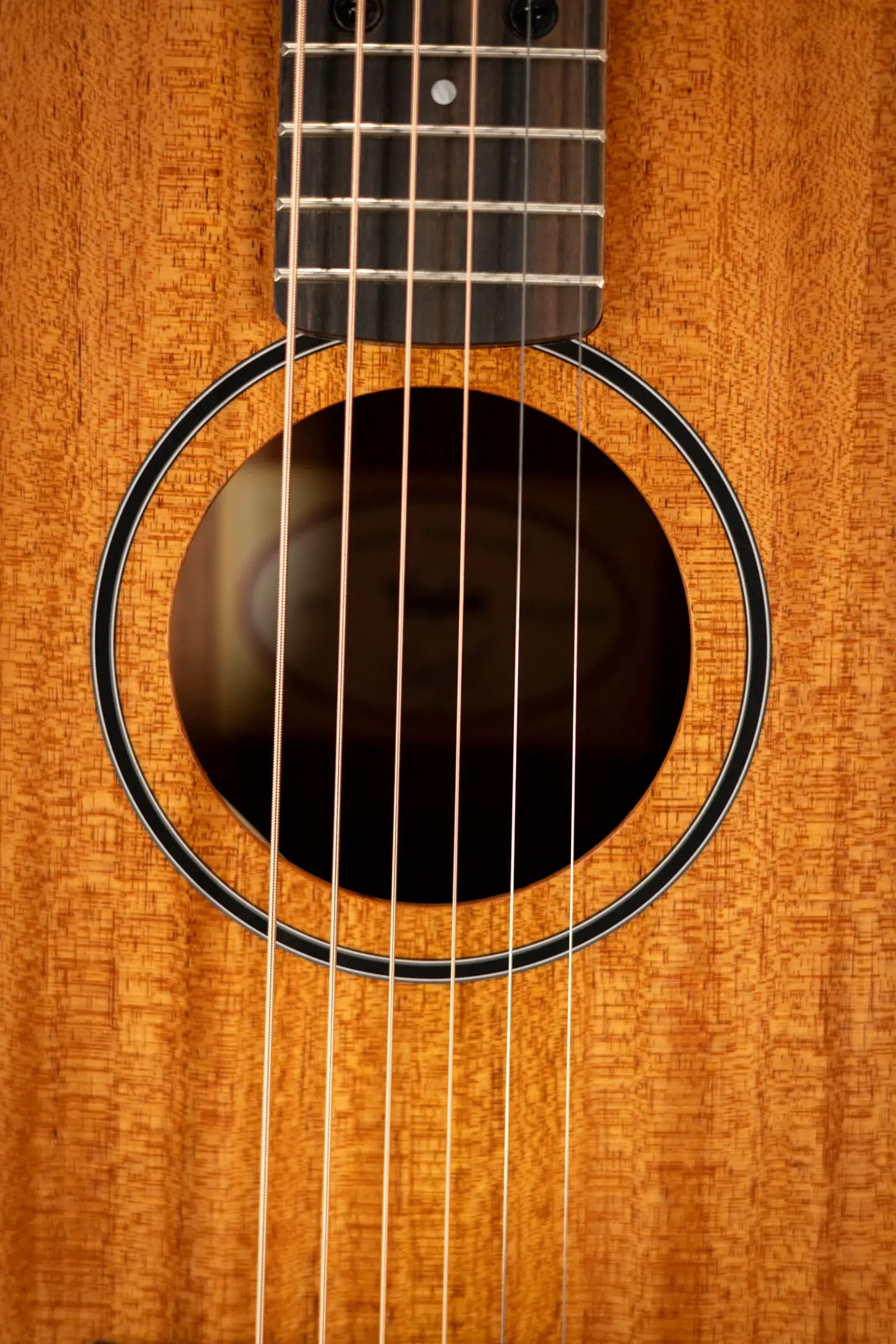 Taylor BT2 Baby Taylor Acoustic Guitar with Gig Bag