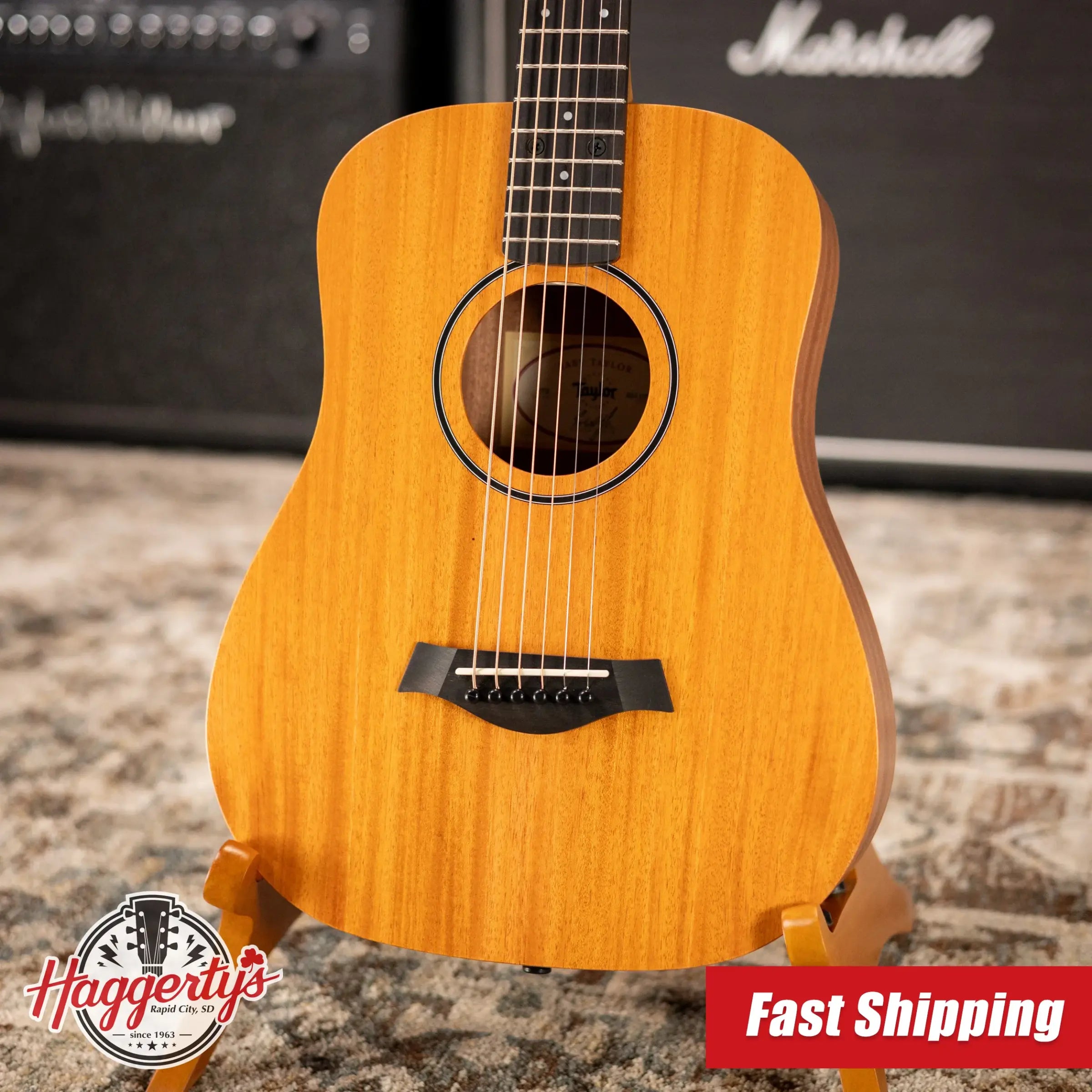 Taylor BT2 Baby Taylor Acoustic Guitar with Gig Bag