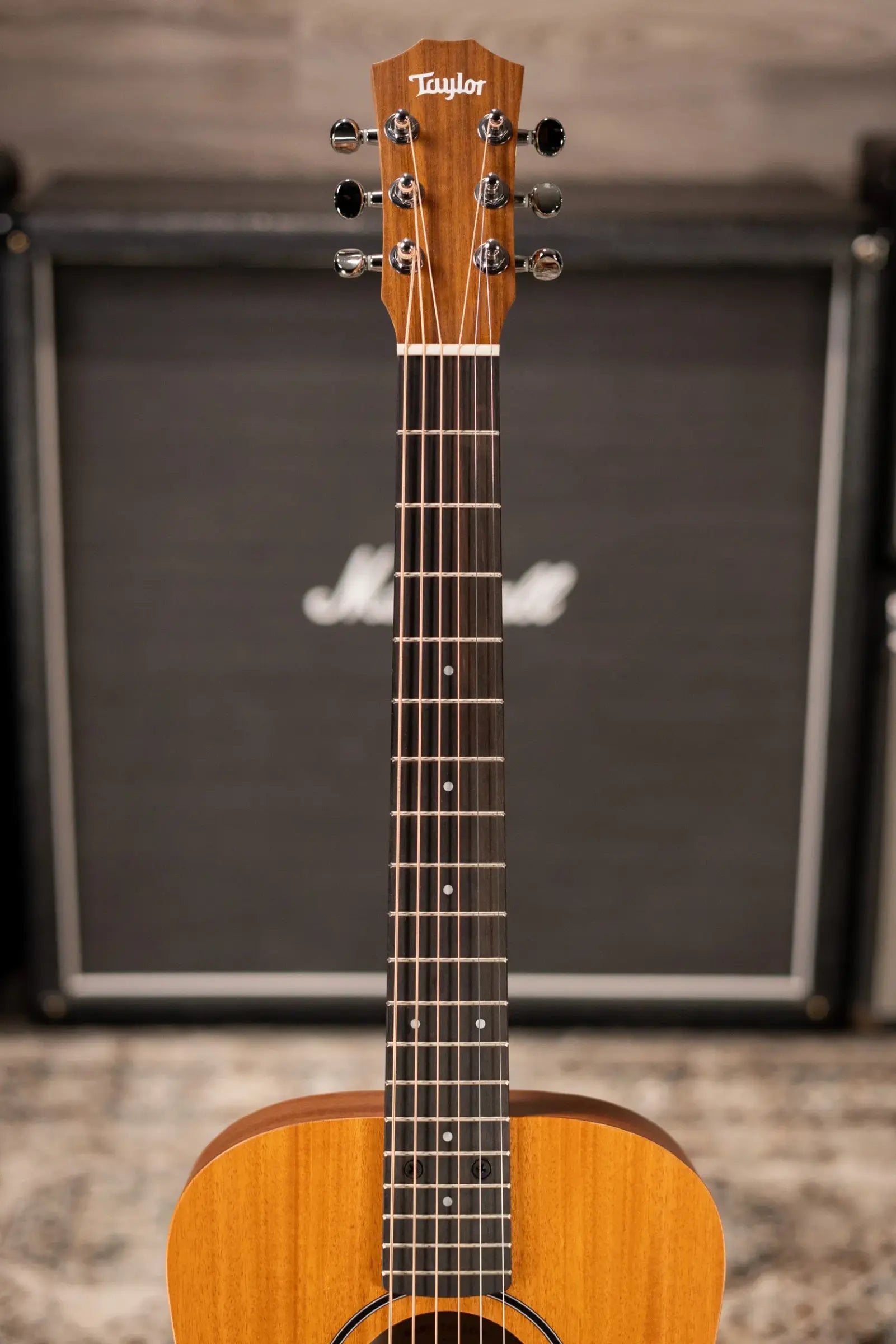 Taylor BT2 Baby Taylor Acoustic Guitar with Gig Bag