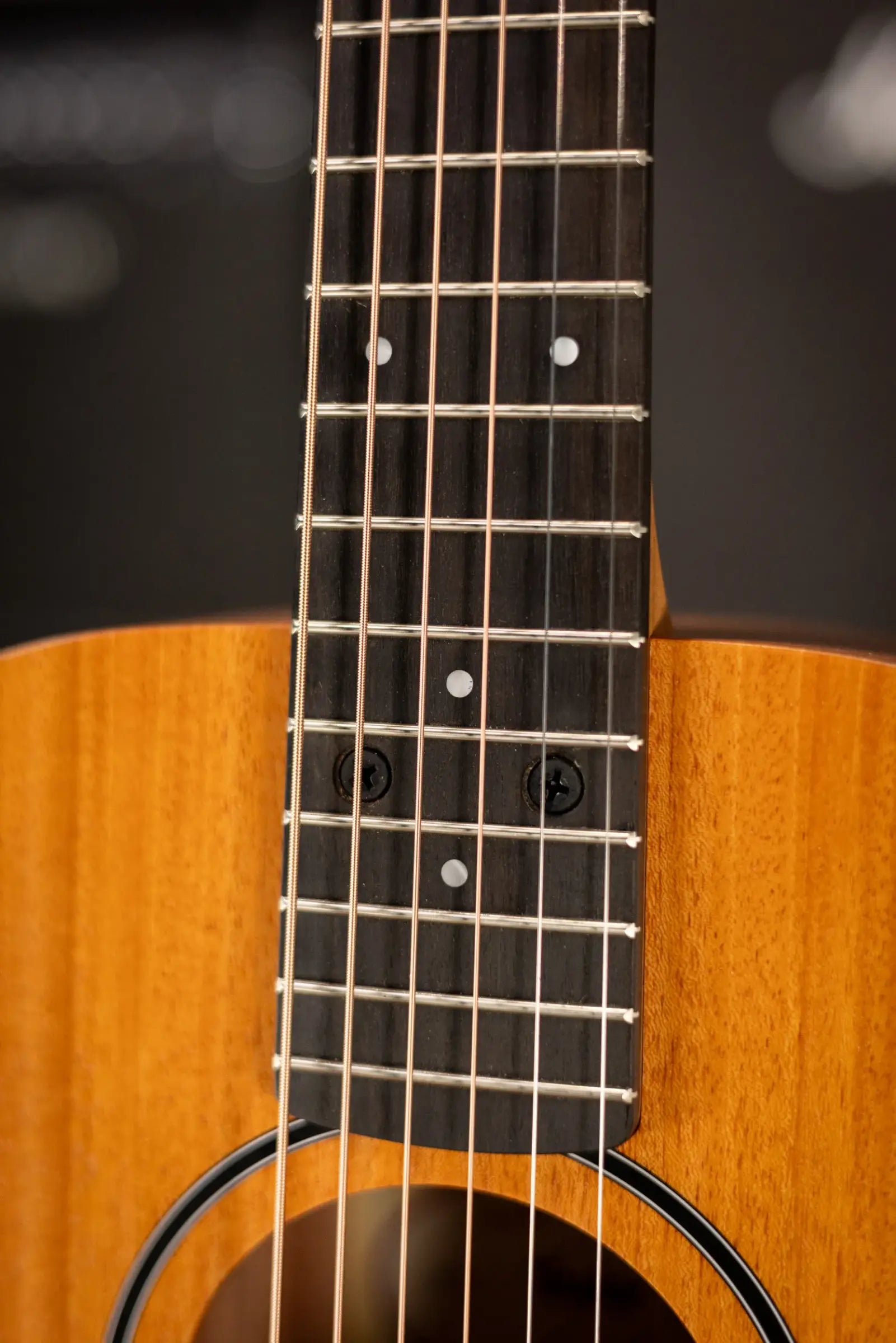 Taylor BT2 Baby Taylor Acoustic Guitar with Gig Bag