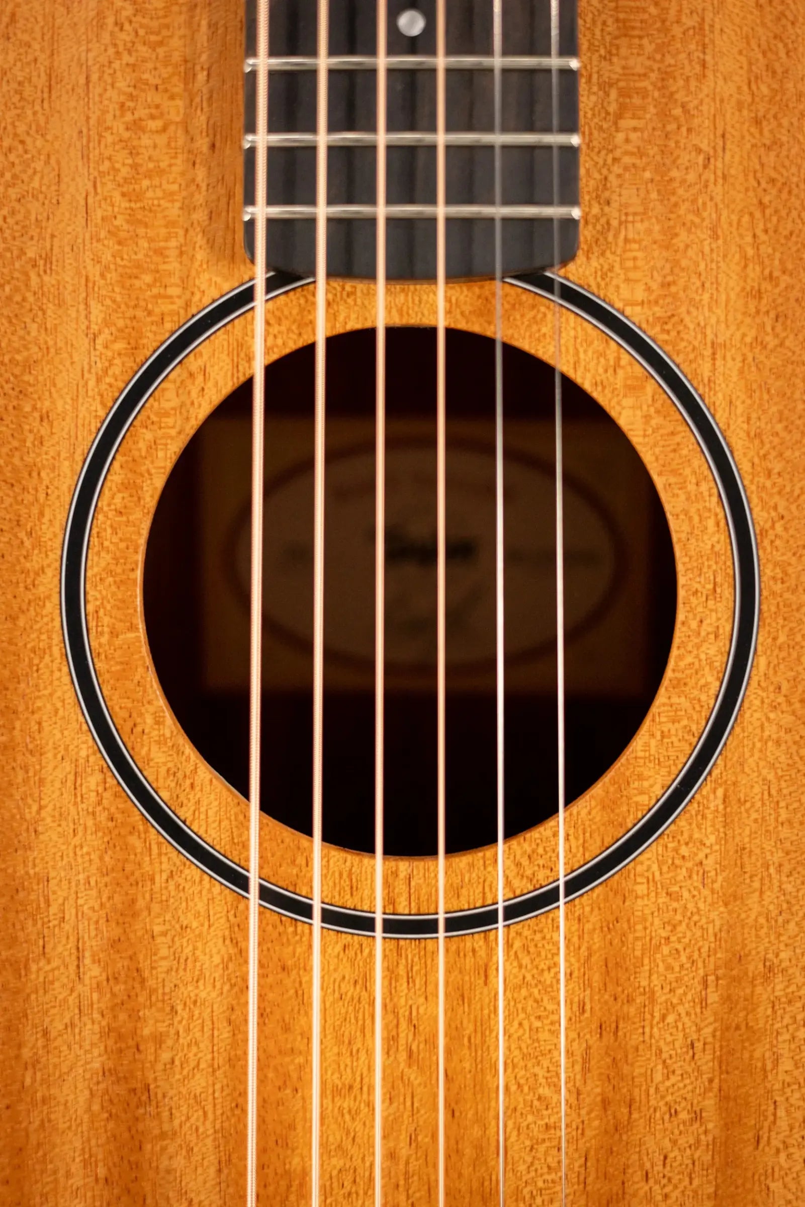 Taylor BT2 Baby Taylor Acoustic Guitar with Gig Bag