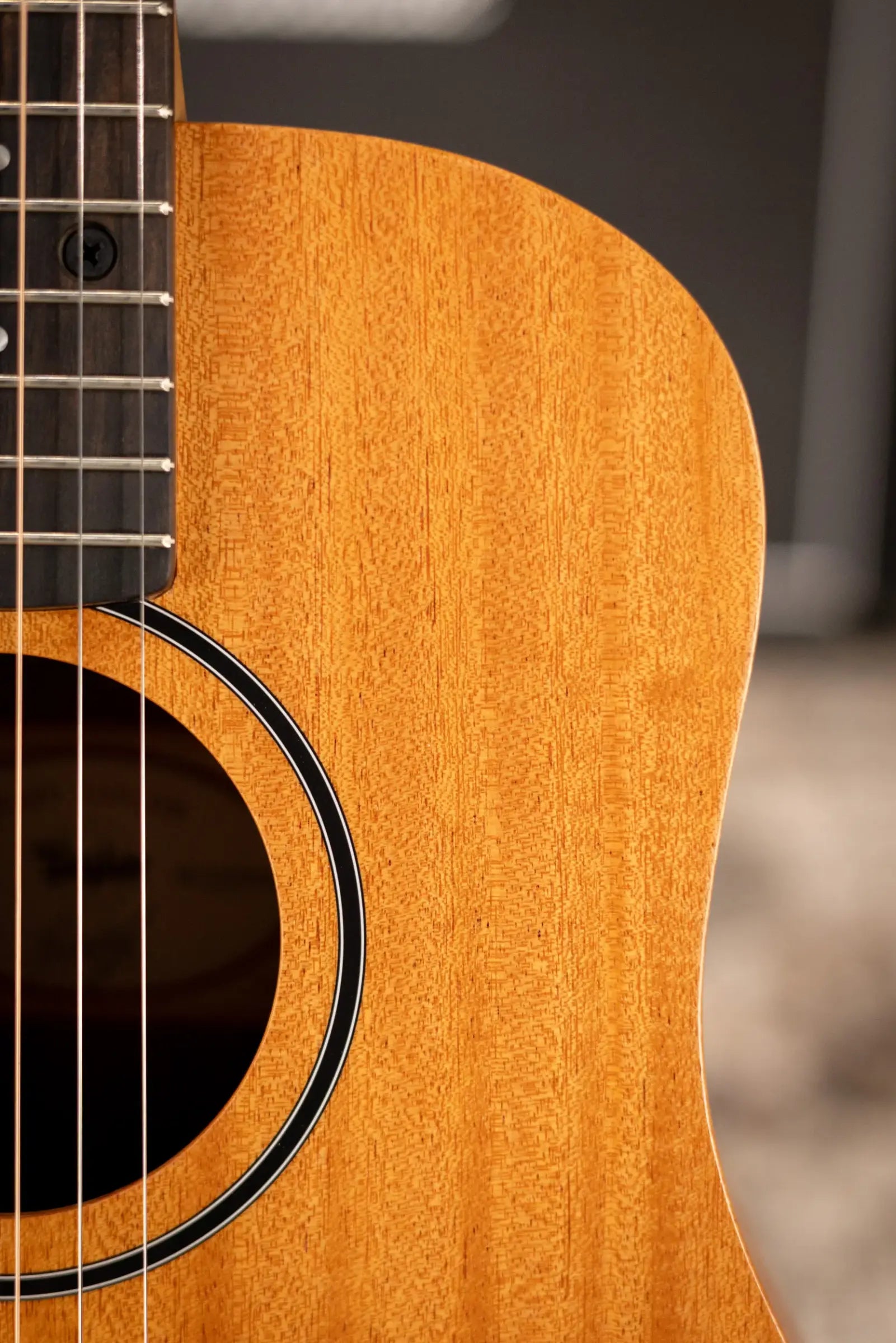 Taylor BT2 Baby Taylor Acoustic Guitar with Gig Bag
