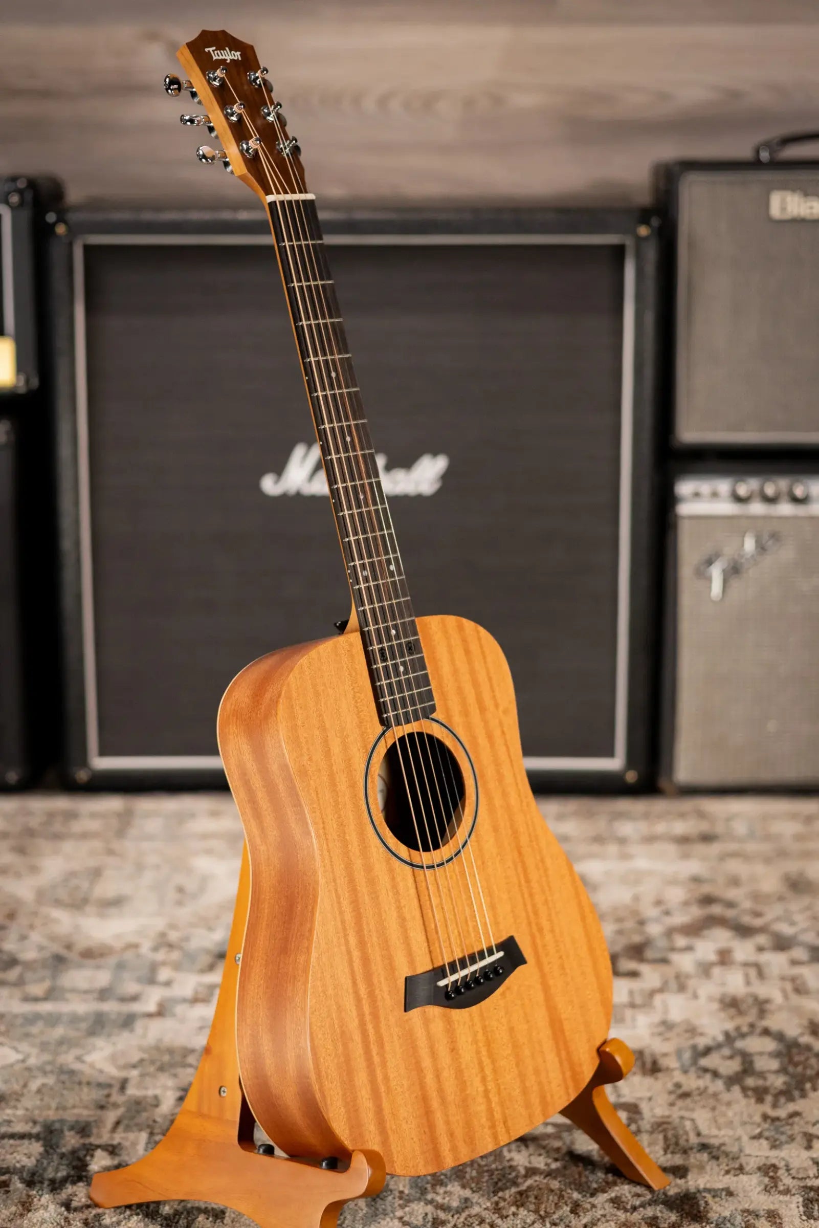 Taylor BT2 Baby Taylor Acoustic Guitar with Gig Bag