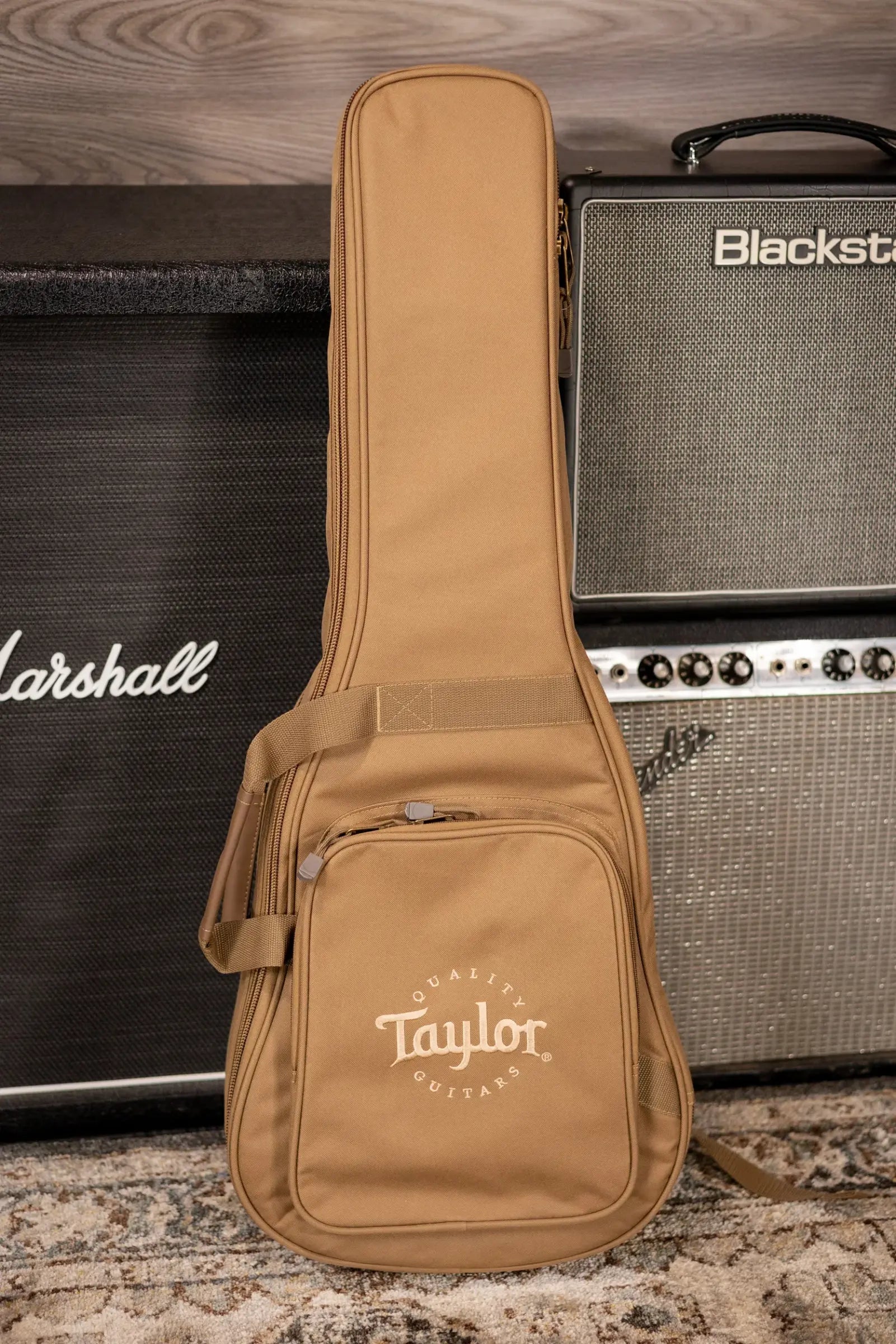 Taylor BT2 Baby Taylor Acoustic Guitar with Gig Bag