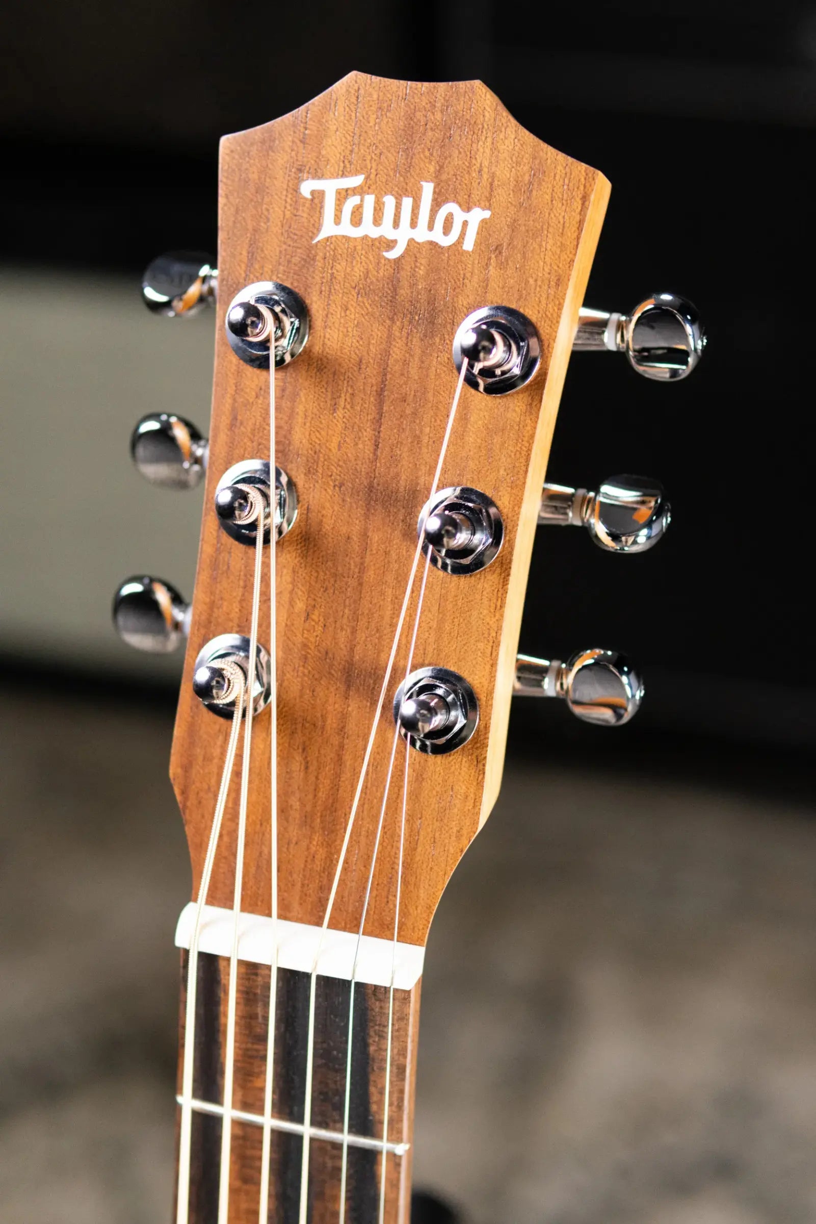Taylor BT2 Baby Taylor Acoustic Guitar with Gig Bag