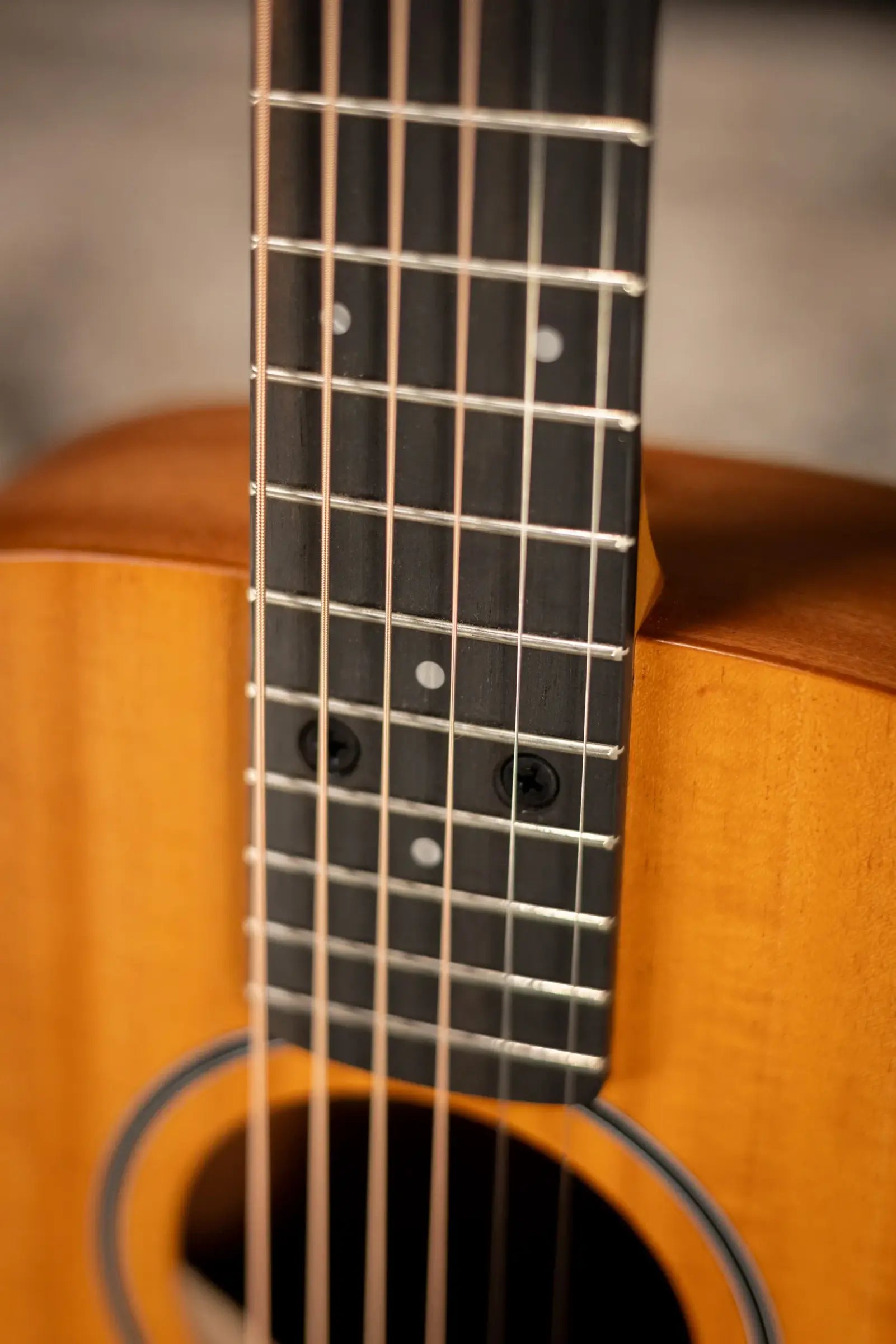 Taylor BT2 Baby Taylor Acoustic Guitar with Gig Bag