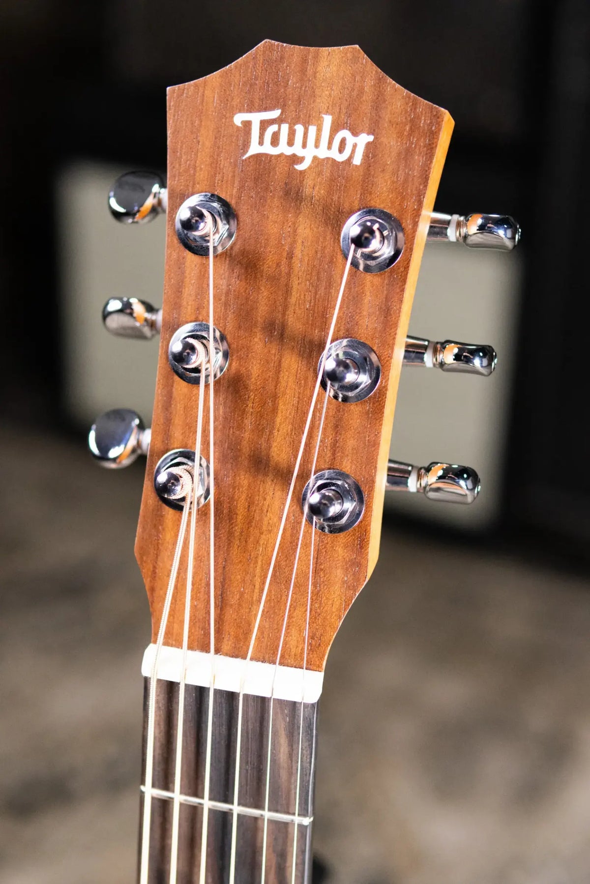 Taylor BT2 Baby Taylor Acoustic Guitar with Gig Bag