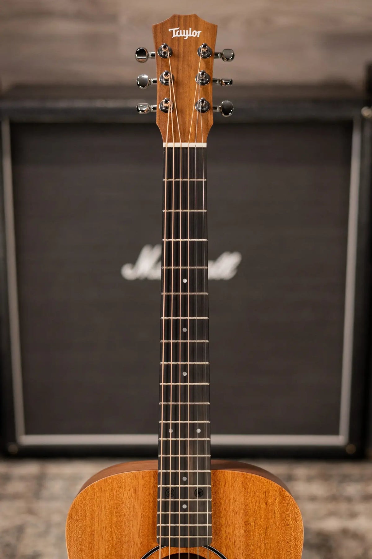 Taylor BT2 Baby Taylor Acoustic Guitar with Gig Bag