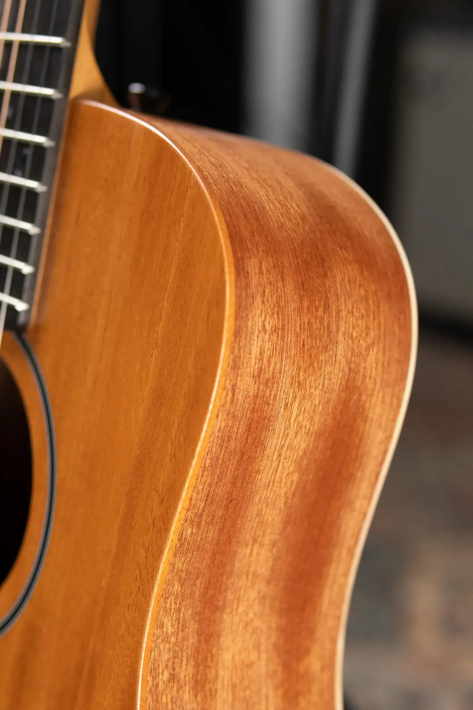 Taylor BT2 Baby Taylor Acoustic Guitar with Gig Bag - Demo