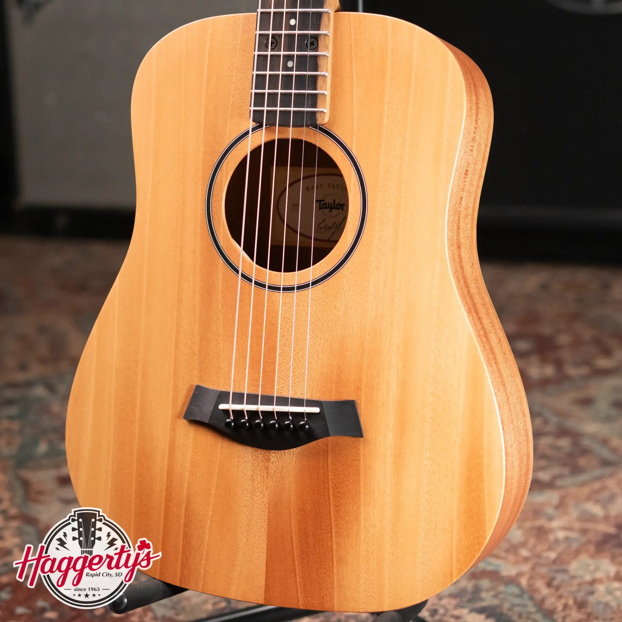 Taylor BT2 Mahogany Acoustic Guitar with Gig Bag