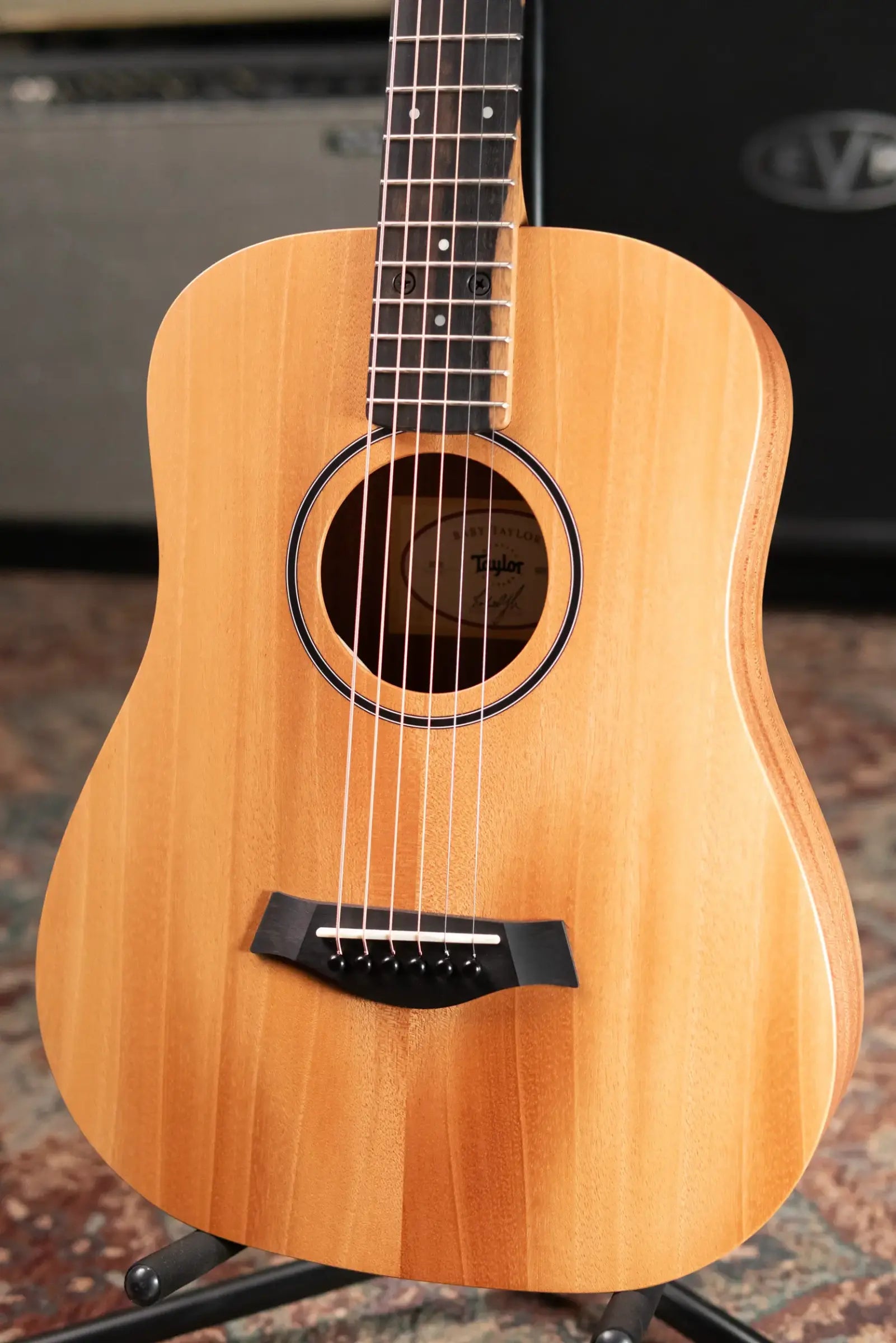 Taylor BT2 Mahogany Acoustic Guitar with Gig Bag