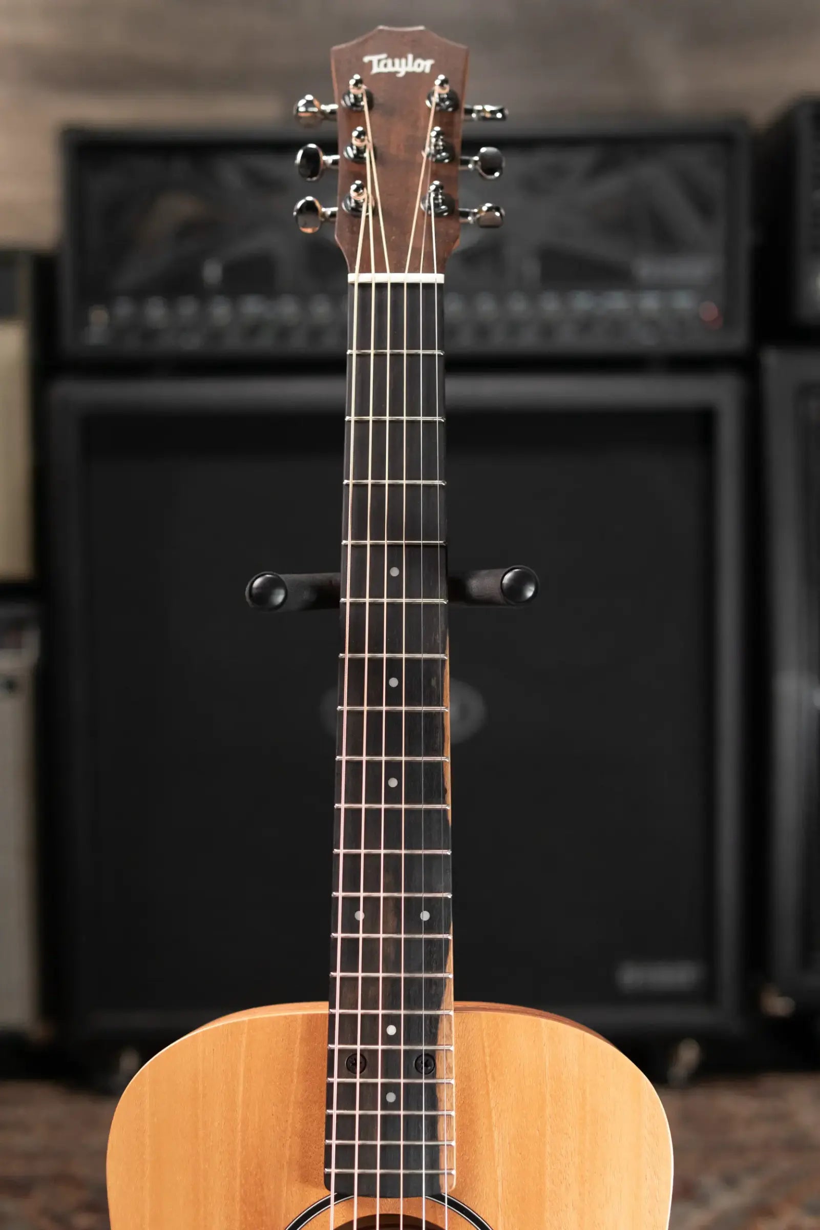 Taylor BT2 Mahogany Acoustic Guitar with Gig Bag