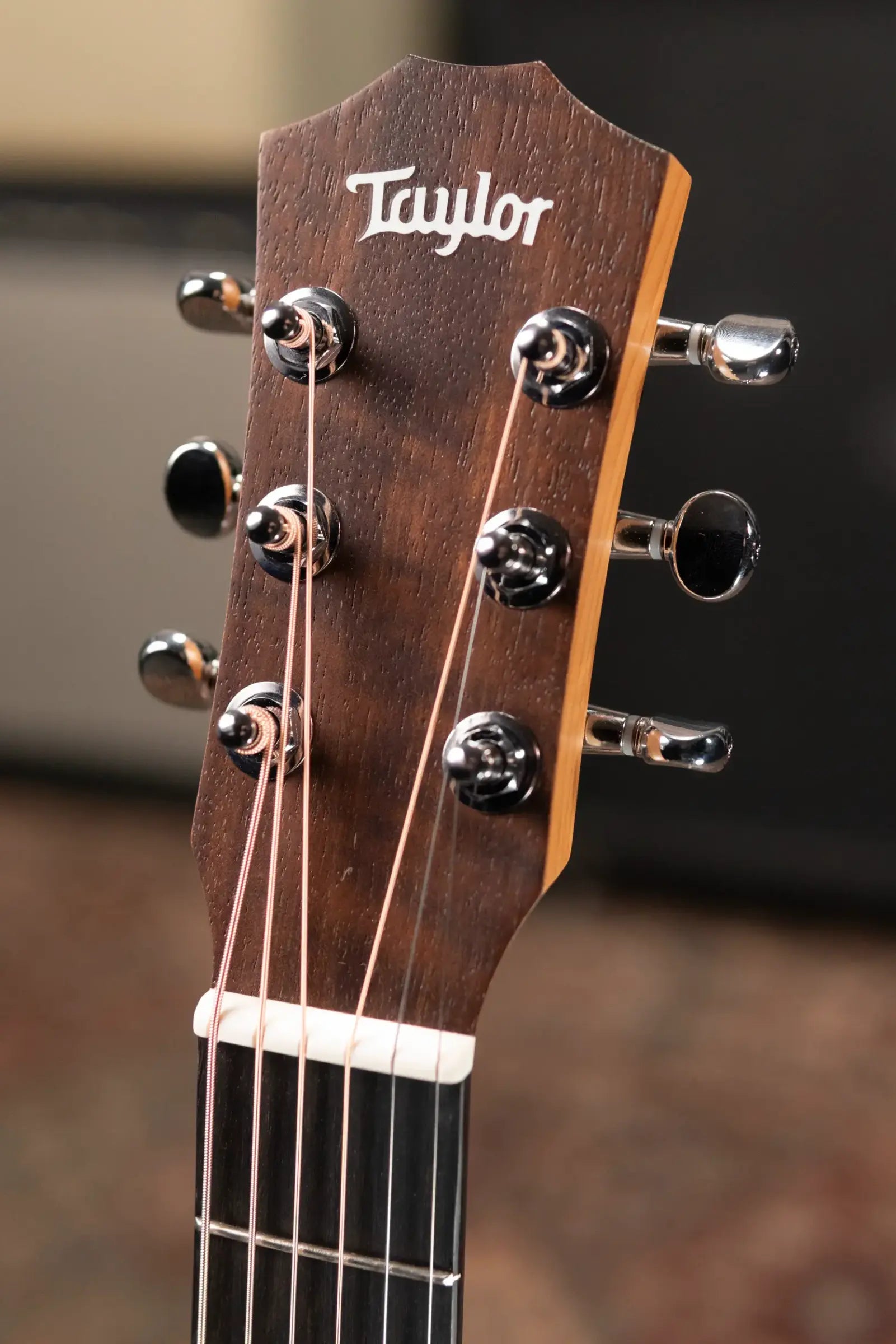 Taylor BT2 Mahogany Acoustic Guitar with Gig Bag