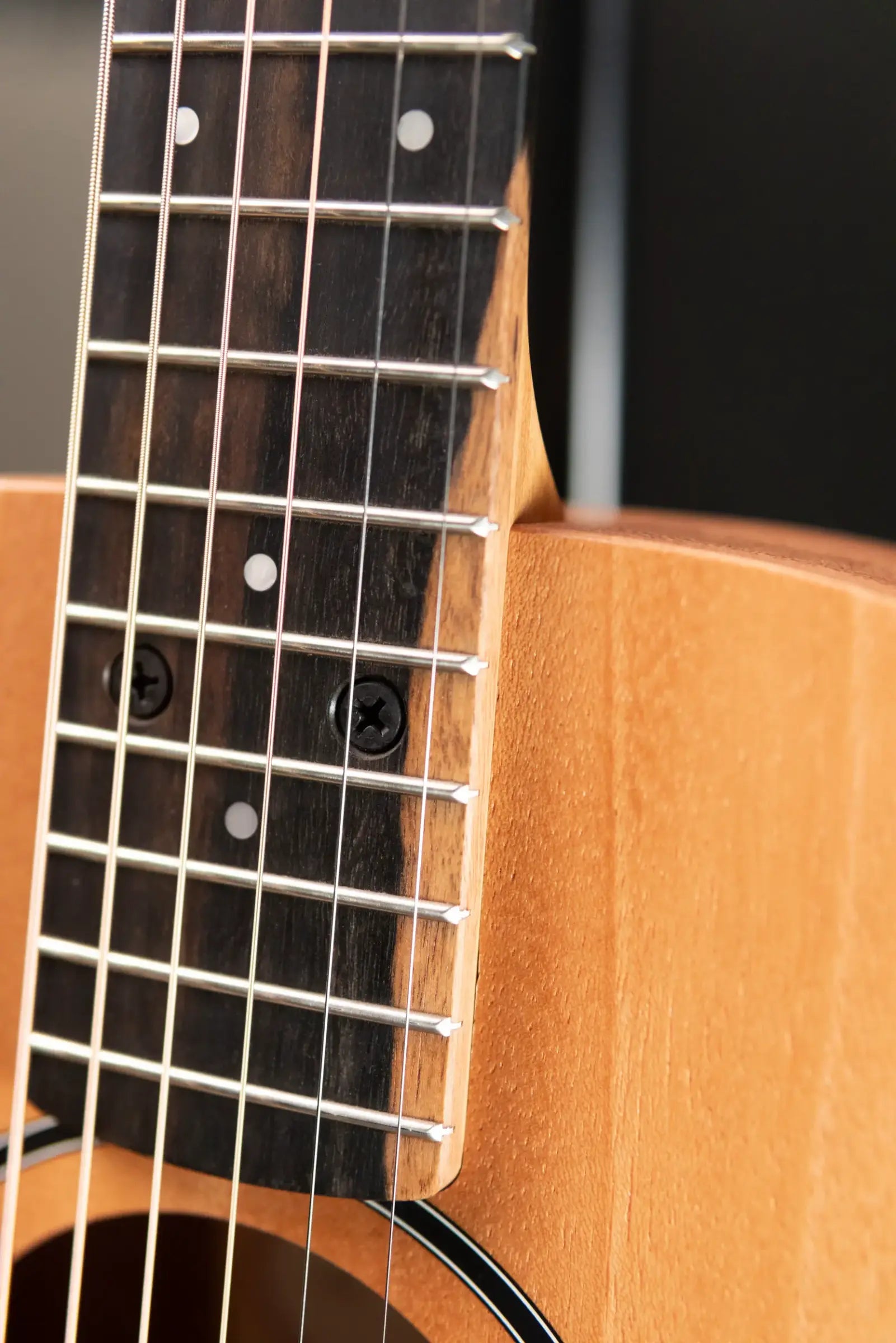 Taylor BT2 Mahogany Acoustic Guitar with Gig Bag