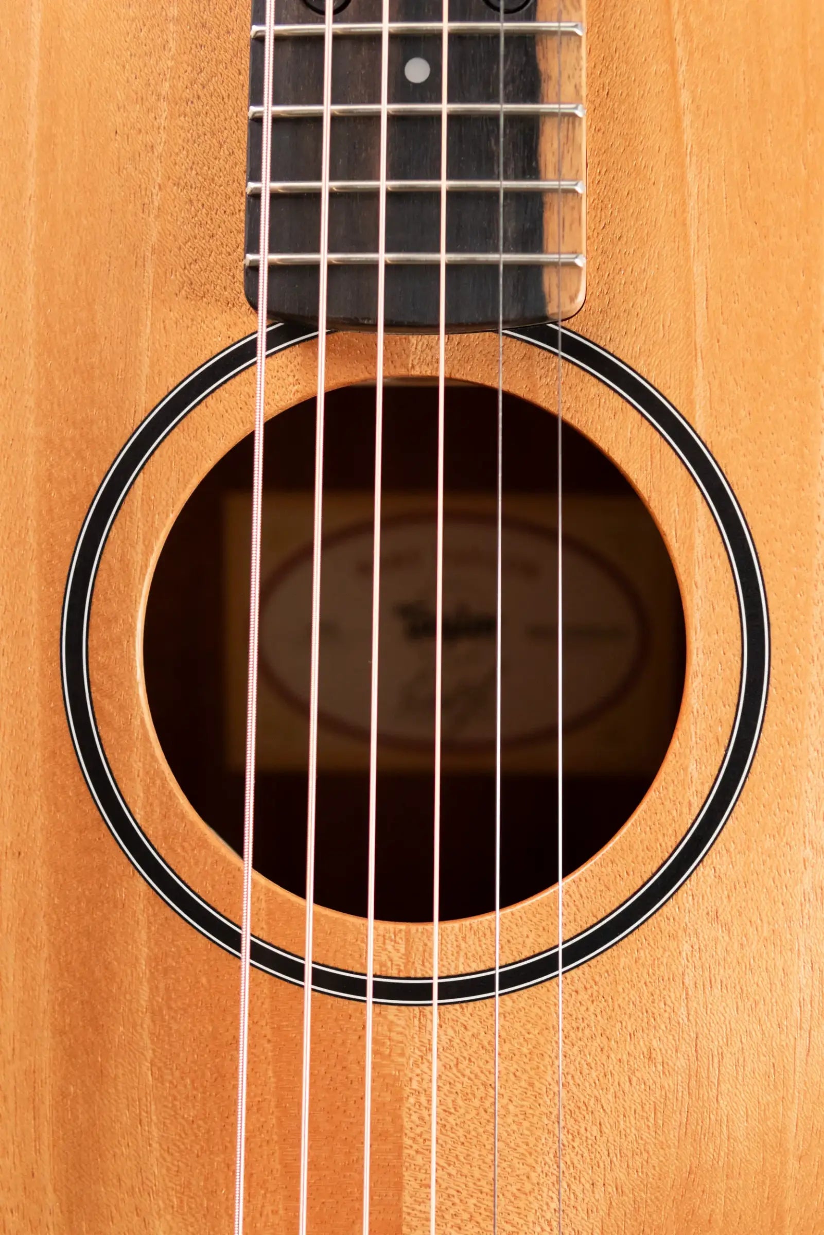 Taylor BT2 Mahogany Acoustic Guitar with Gig Bag